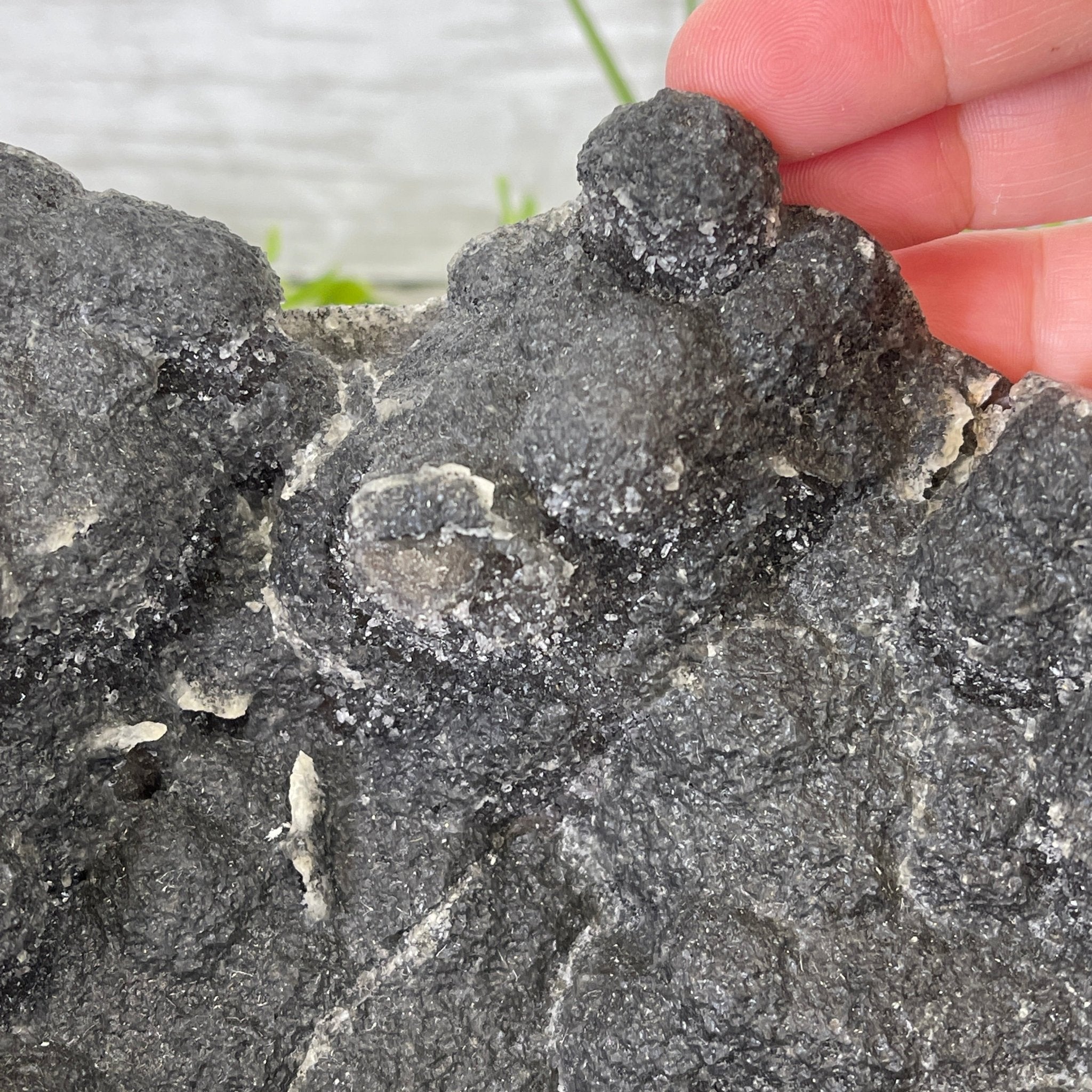 Extra Plus Quality Unique Uruguayan Amethyst Geode, 7.5” tall & 43.3 lbs #5520-0022 by Brazil Gems - Brazil GemsBrazil GemsExtra Plus Quality Unique Uruguayan Amethyst Geode, 7.5” tall & 43.3 lbs #5520-0022 by Brazil GemsClusters: Unique & Freeform5520-0022