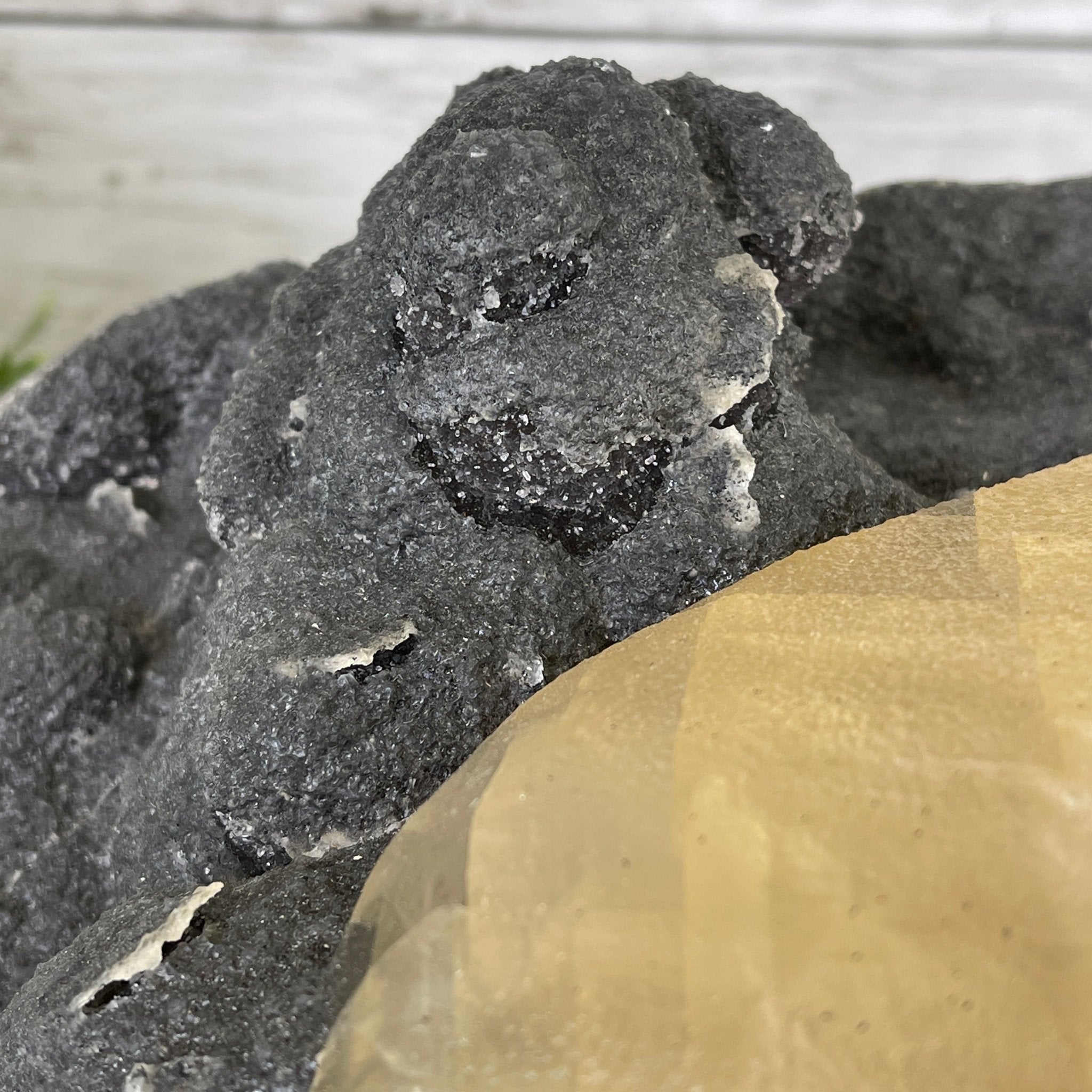 Extra Plus Quality Unique Uruguayan Amethyst Geode, 7.5” tall & 43.3 lbs #5520-0022 by Brazil Gems - Brazil GemsBrazil GemsExtra Plus Quality Unique Uruguayan Amethyst Geode, 7.5” tall & 43.3 lbs #5520-0022 by Brazil GemsClusters: Unique & Freeform5520-0022