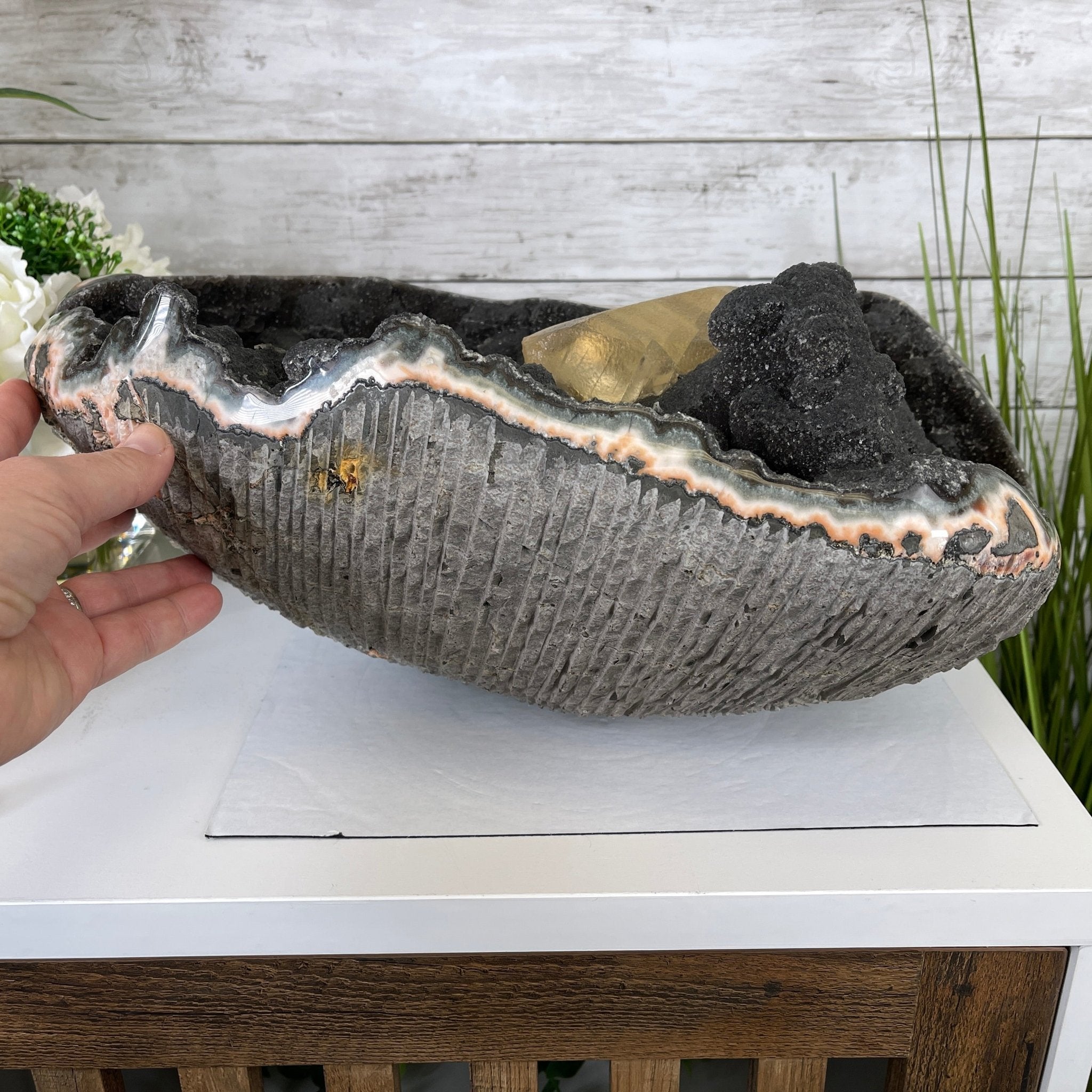 Extra Plus Quality Unique Uruguayan Amethyst Geode, 7.5” tall & 43.3 lbs #5520-0022 by Brazil Gems - Brazil GemsBrazil GemsExtra Plus Quality Unique Uruguayan Amethyst Geode, 7.5” tall & 43.3 lbs #5520-0022 by Brazil GemsClusters: Unique & Freeform5520-0022