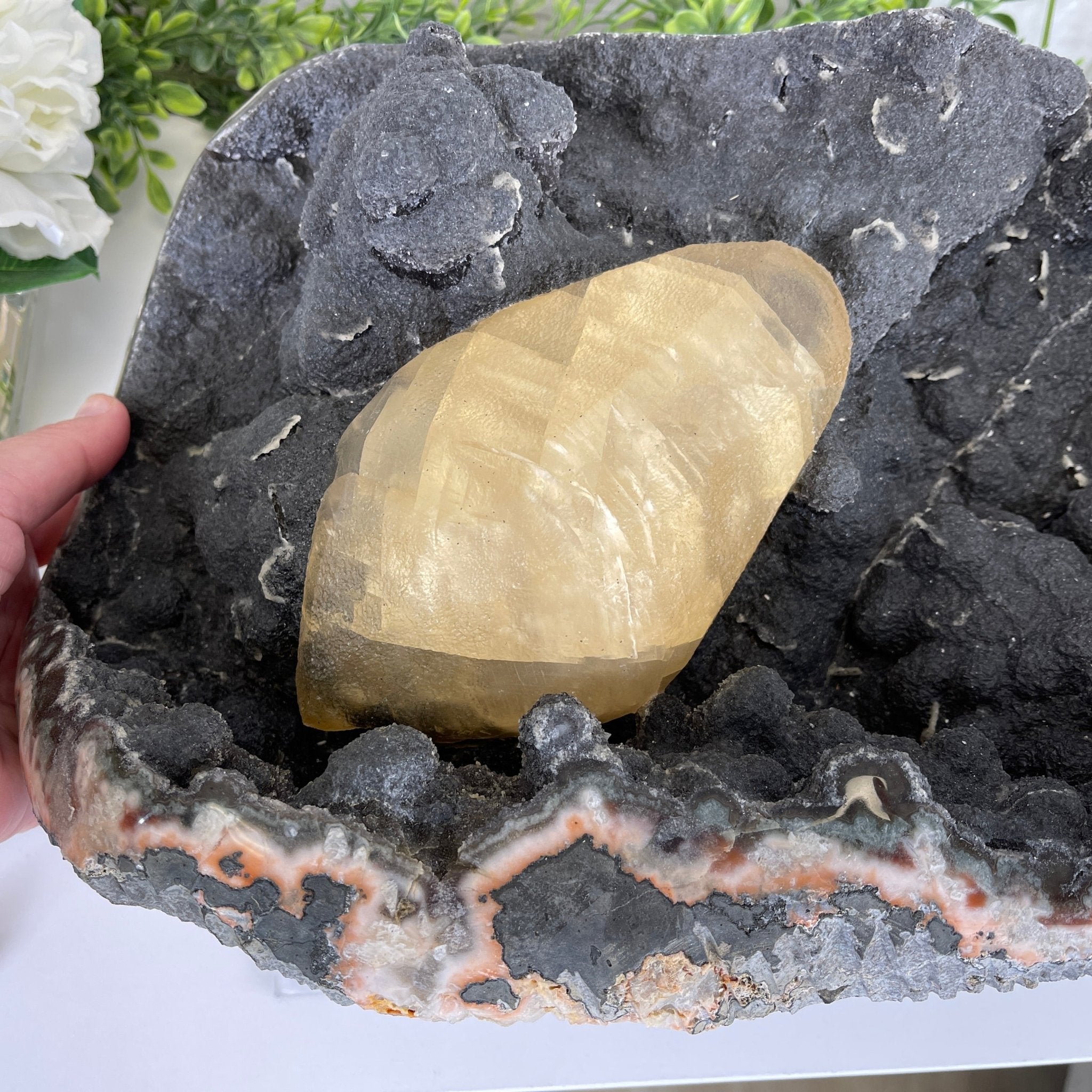 Extra Plus Quality Unique Uruguayan Amethyst Geode, 7.5” tall & 43.3 lbs #5520-0022 by Brazil Gems - Brazil GemsBrazil GemsExtra Plus Quality Unique Uruguayan Amethyst Geode, 7.5” tall & 43.3 lbs #5520-0022 by Brazil GemsClusters: Unique & Freeform5520-0022