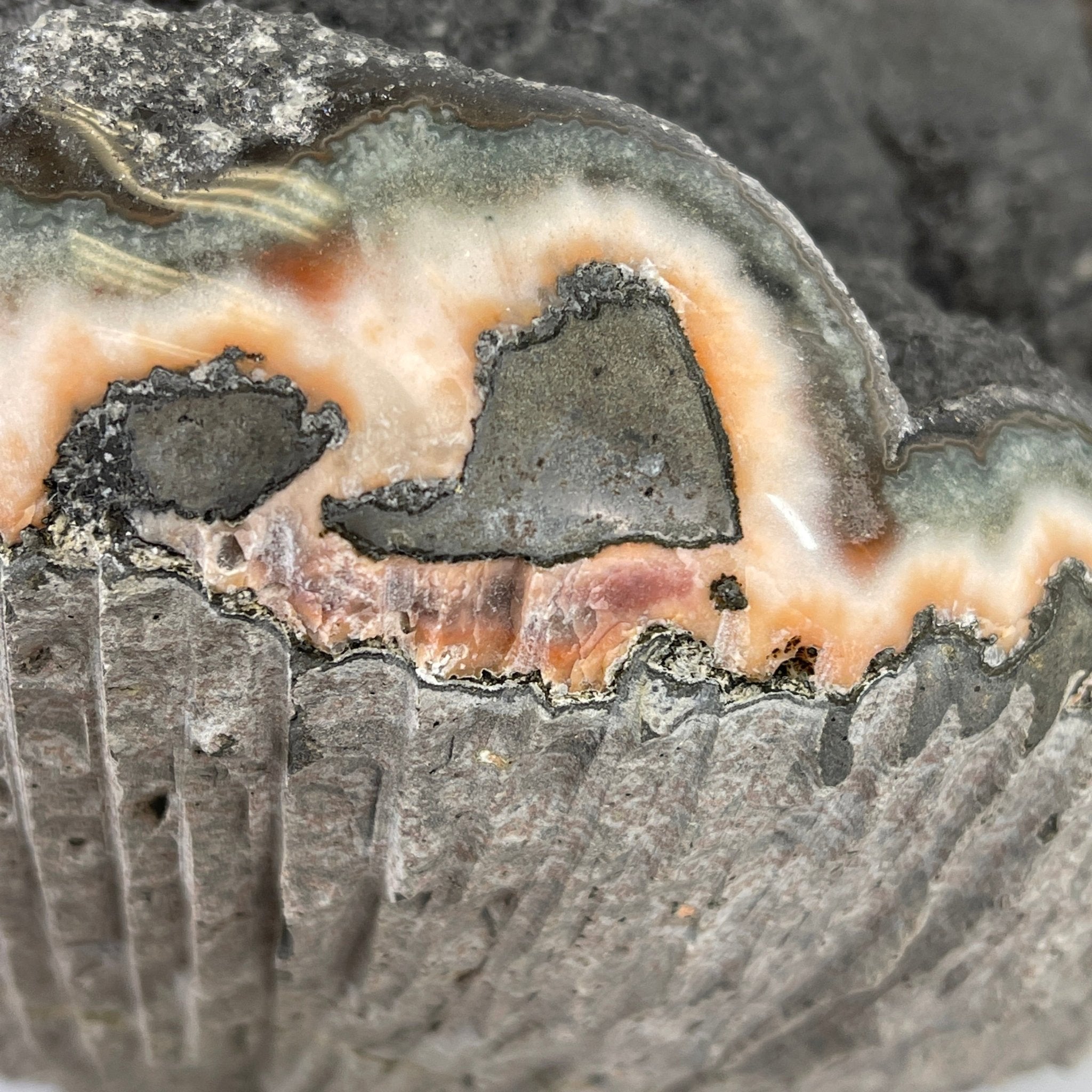 Extra Plus Quality Unique Uruguayan Amethyst Geode, 7.5” tall & 43.3 lbs #5520-0022 by Brazil Gems - Brazil GemsBrazil GemsExtra Plus Quality Unique Uruguayan Amethyst Geode, 7.5” tall & 43.3 lbs #5520-0022 by Brazil GemsClusters: Unique & Freeform5520-0022