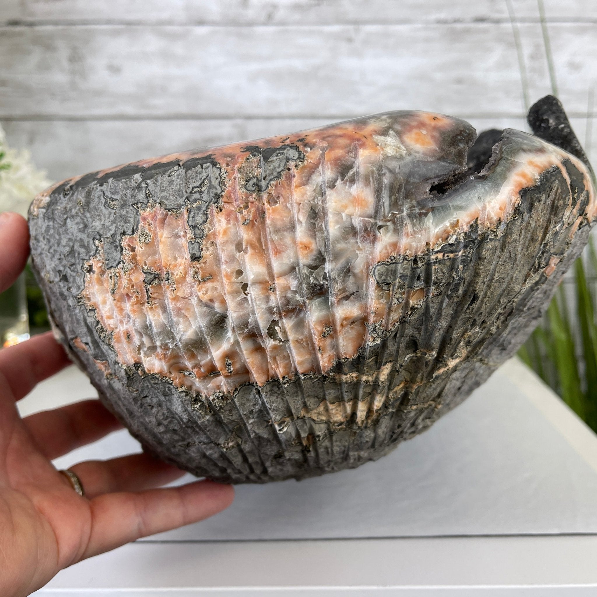 Extra Plus Quality Unique Uruguayan Amethyst Geode, 7.5” tall & 43.3 lbs #5520-0022 by Brazil Gems - Brazil GemsBrazil GemsExtra Plus Quality Unique Uruguayan Amethyst Geode, 7.5” tall & 43.3 lbs #5520-0022 by Brazil GemsClusters: Unique & Freeform5520-0022