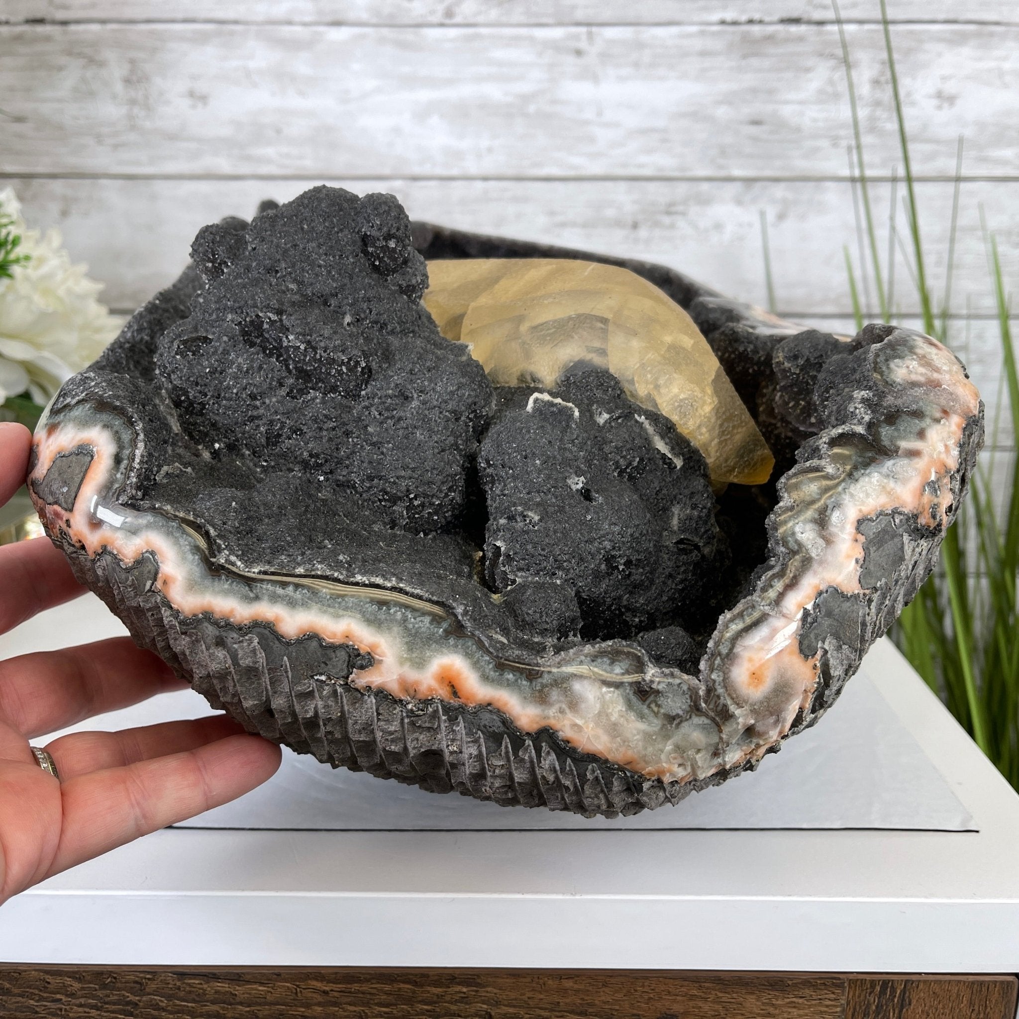 Extra Plus Quality Unique Uruguayan Amethyst Geode, 7.5” tall & 43.3 lbs #5520-0022 by Brazil Gems - Brazil GemsBrazil GemsExtra Plus Quality Unique Uruguayan Amethyst Geode, 7.5” tall & 43.3 lbs #5520-0022 by Brazil GemsClusters: Unique & Freeform5520-0022