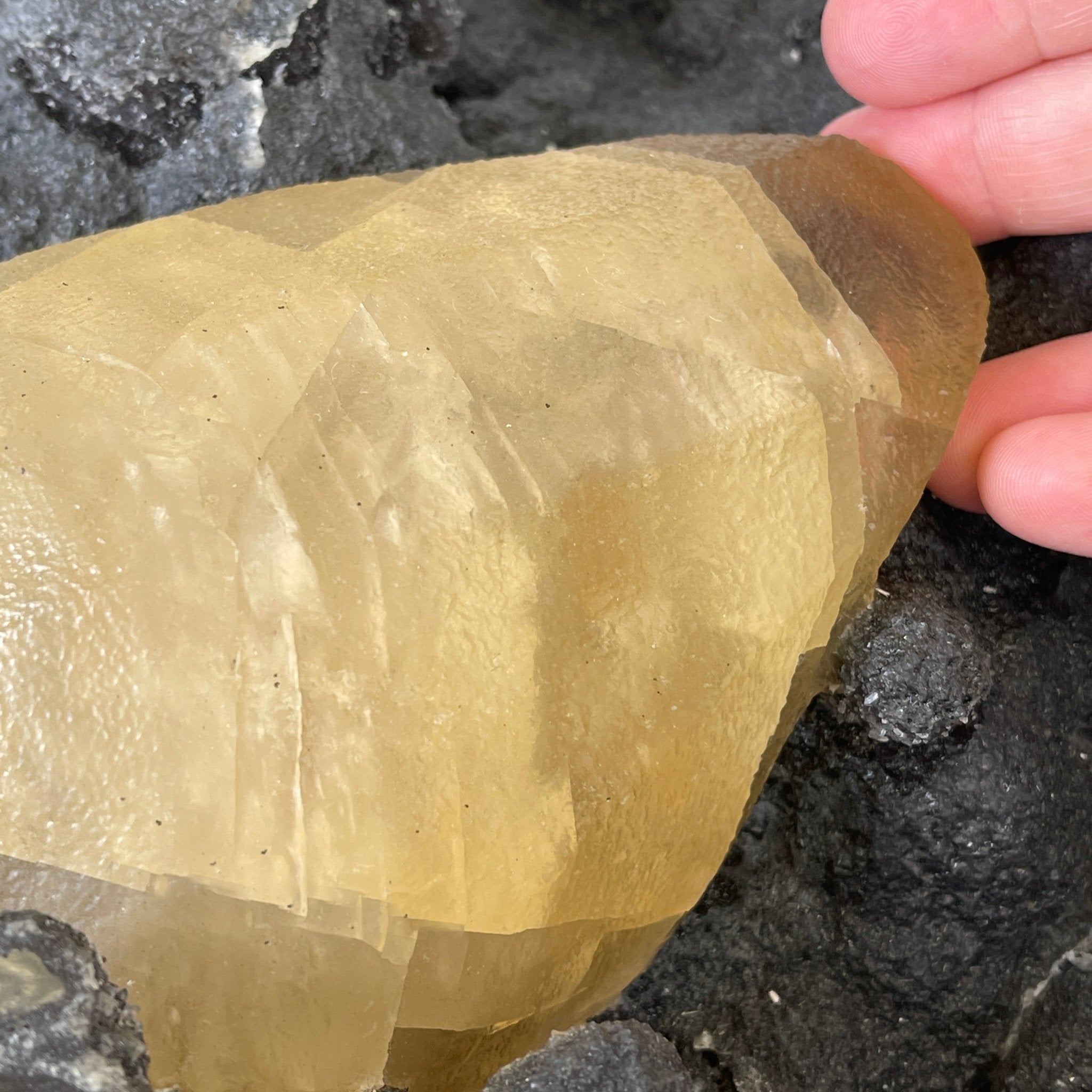 Extra Plus Quality Unique Uruguayan Amethyst Geode, 7.5” tall & 43.3 lbs #5520-0022 by Brazil Gems - Brazil GemsBrazil GemsExtra Plus Quality Unique Uruguayan Amethyst Geode, 7.5” tall & 43.3 lbs #5520-0022 by Brazil GemsClusters: Unique & Freeform5520-0022