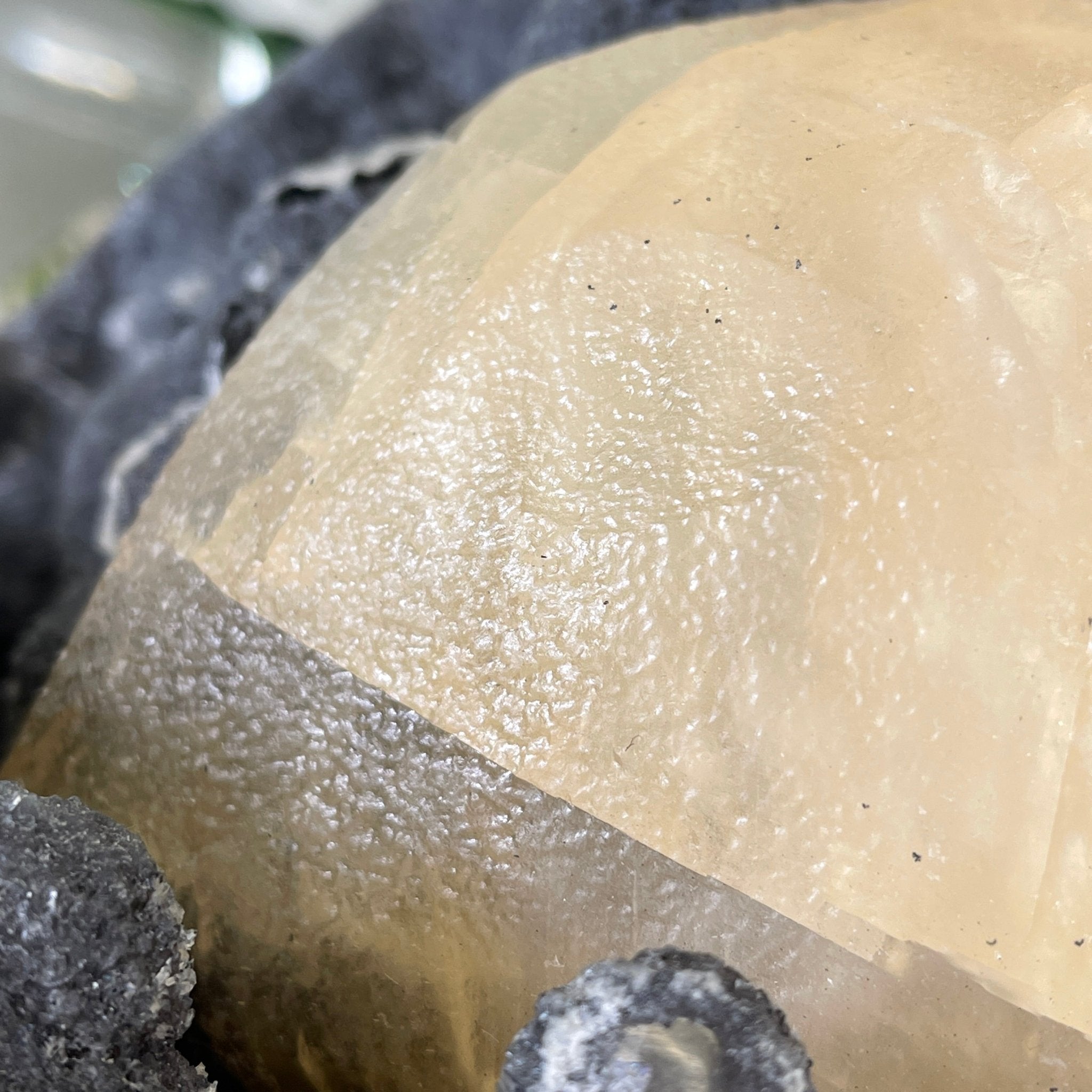 Extra Plus Quality Unique Uruguayan Amethyst Geode, 7.5” tall & 43.3 lbs #5520-0022 by Brazil Gems - Brazil GemsBrazil GemsExtra Plus Quality Unique Uruguayan Amethyst Geode, 7.5” tall & 43.3 lbs #5520-0022 by Brazil GemsClusters: Unique & Freeform5520-0022