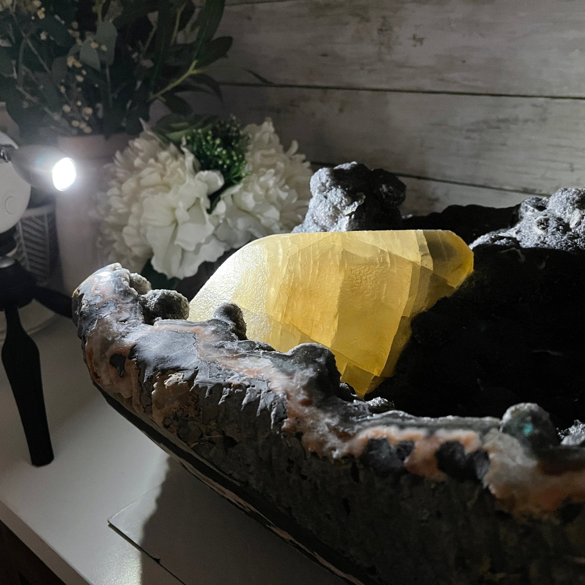 Extra Plus Quality Unique Uruguayan Amethyst Geode, 7.5” tall & 43.3 lbs #5520-0022 by Brazil Gems - Brazil GemsBrazil GemsExtra Plus Quality Unique Uruguayan Amethyst Geode, 7.5” tall & 43.3 lbs #5520-0022 by Brazil GemsClusters: Unique & Freeform5520-0022