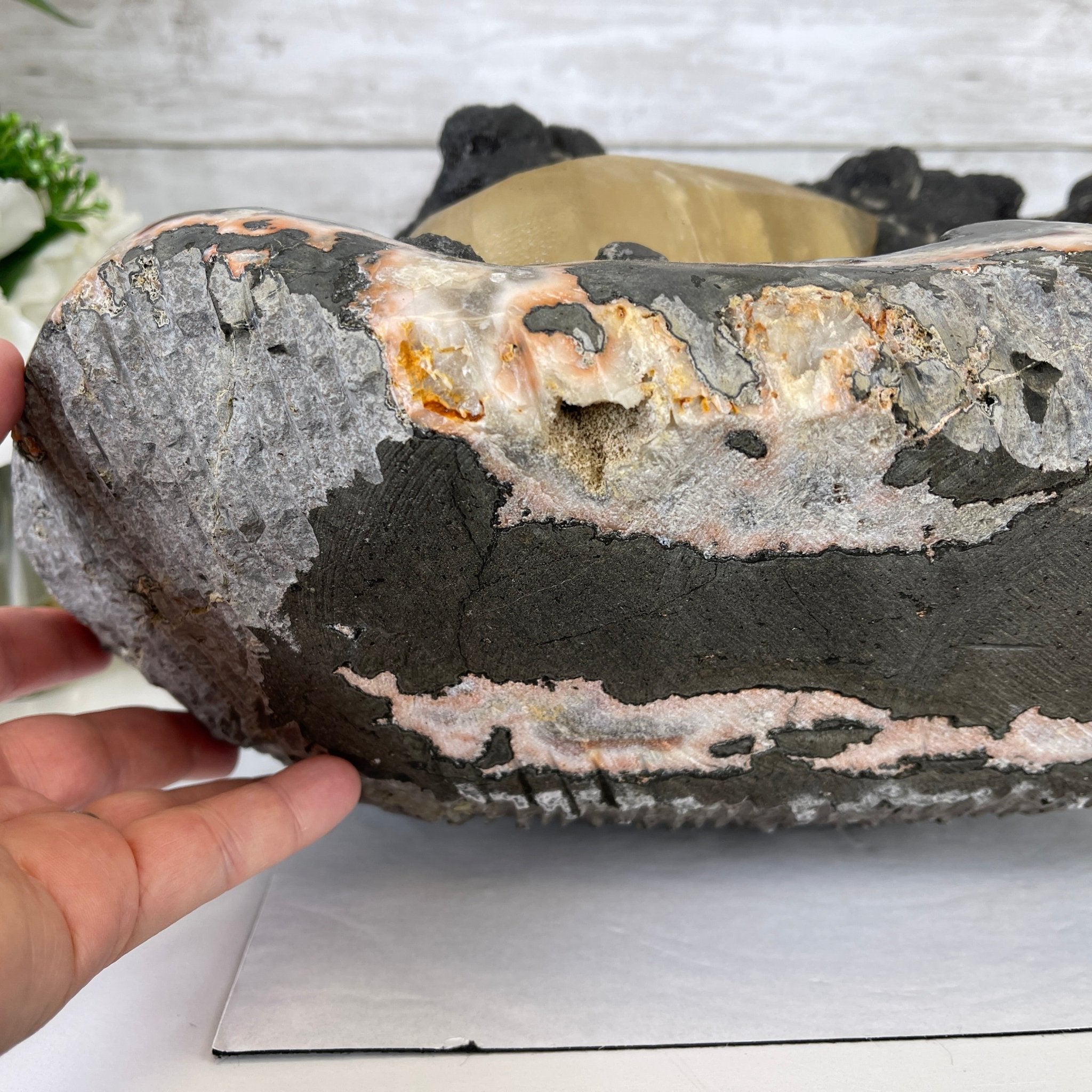 Extra Plus Quality Unique Uruguayan Amethyst Geode, 7.5” tall & 43.3 lbs #5520-0022 by Brazil Gems - Brazil GemsBrazil GemsExtra Plus Quality Unique Uruguayan Amethyst Geode, 7.5” tall & 43.3 lbs #5520-0022 by Brazil GemsClusters: Unique & Freeform5520-0022