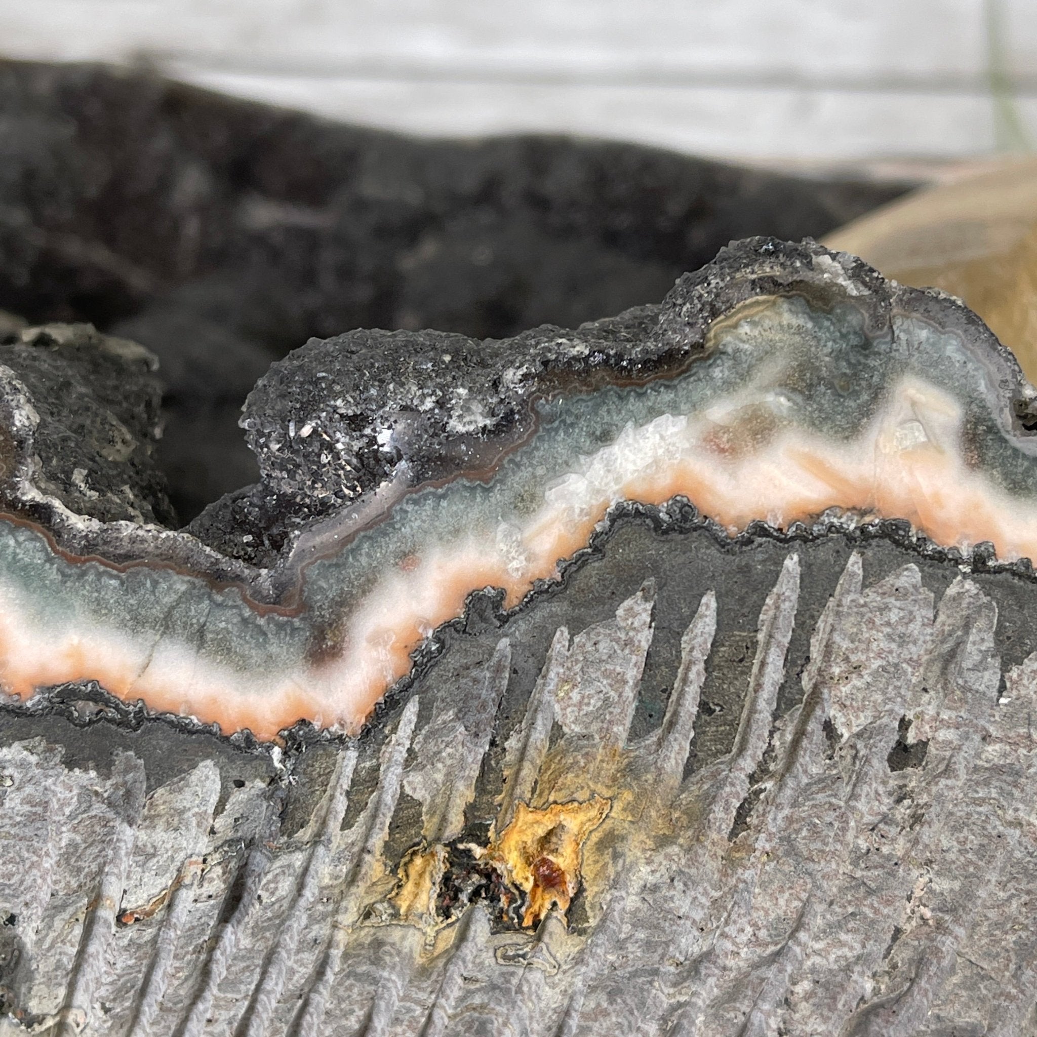 Extra Plus Quality Unique Uruguayan Amethyst Geode, 7.5” tall & 43.3 lbs #5520-0022 by Brazil Gems - Brazil GemsBrazil GemsExtra Plus Quality Unique Uruguayan Amethyst Geode, 7.5” tall & 43.3 lbs #5520-0022 by Brazil GemsClusters: Unique & Freeform5520-0022