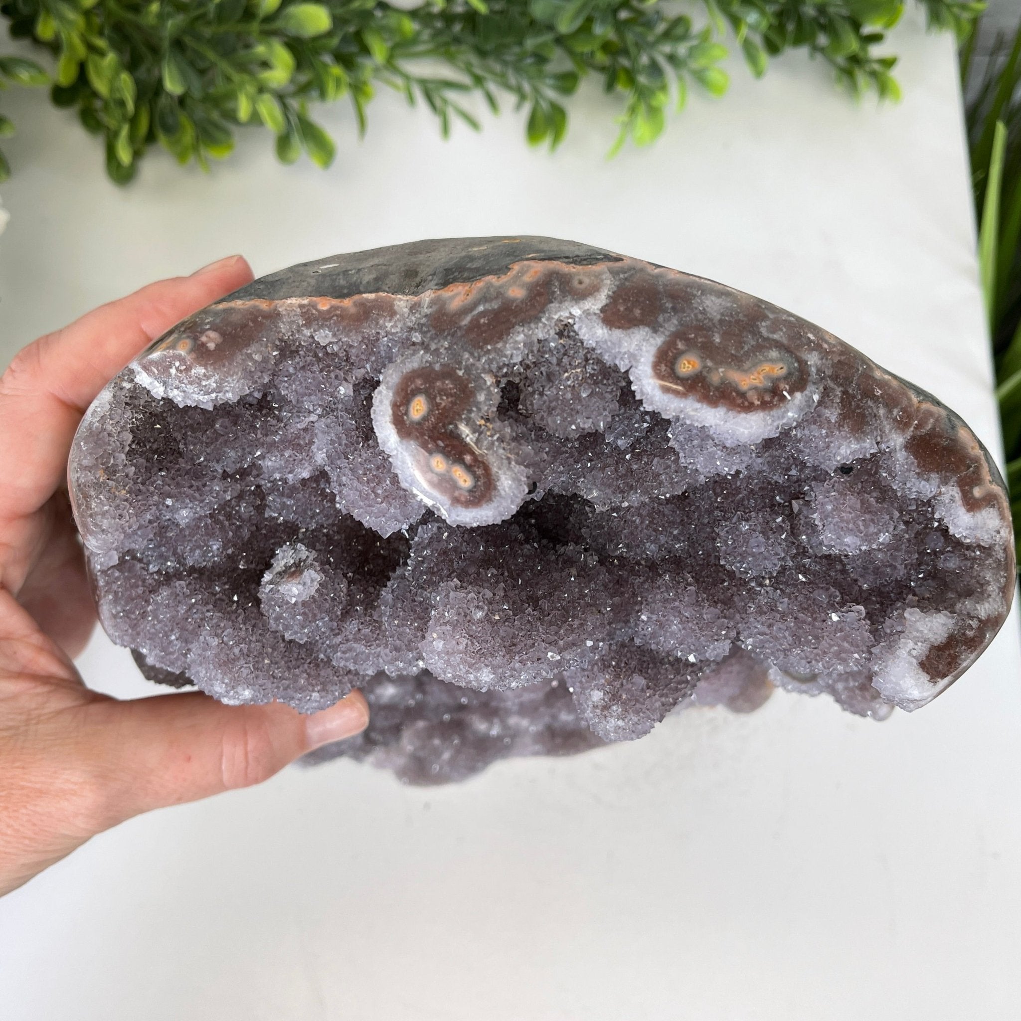 Extra Plus Quality Unique Uruguayan Amethyst Geode, 9” tall & 14.4 lbs #5520-0018 by Brazil Gems - Brazil GemsBrazil GemsExtra Plus Quality Unique Uruguayan Amethyst Geode, 9” tall & 14.4 lbs #5520-0018 by Brazil GemsClusters: Unique & Freeform5520-0018