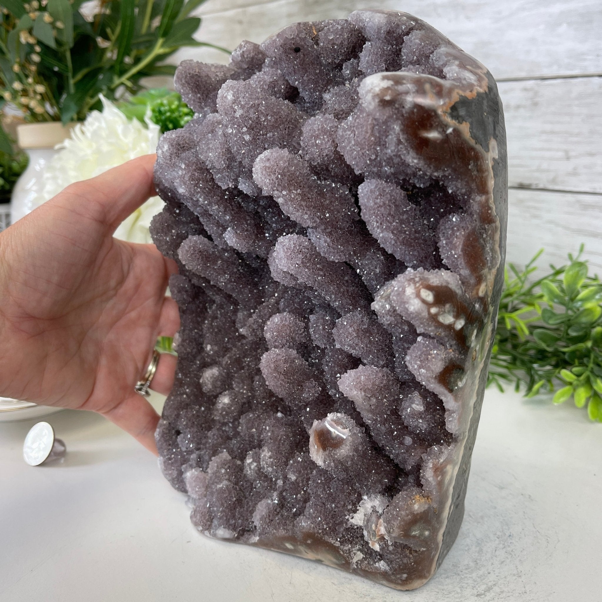 Extra Plus Quality Unique Uruguayan Amethyst Geode, 9” tall & 14.4 lbs #5520-0018 by Brazil Gems - Brazil GemsBrazil GemsExtra Plus Quality Unique Uruguayan Amethyst Geode, 9” tall & 14.4 lbs #5520-0018 by Brazil GemsClusters: Unique & Freeform5520-0018