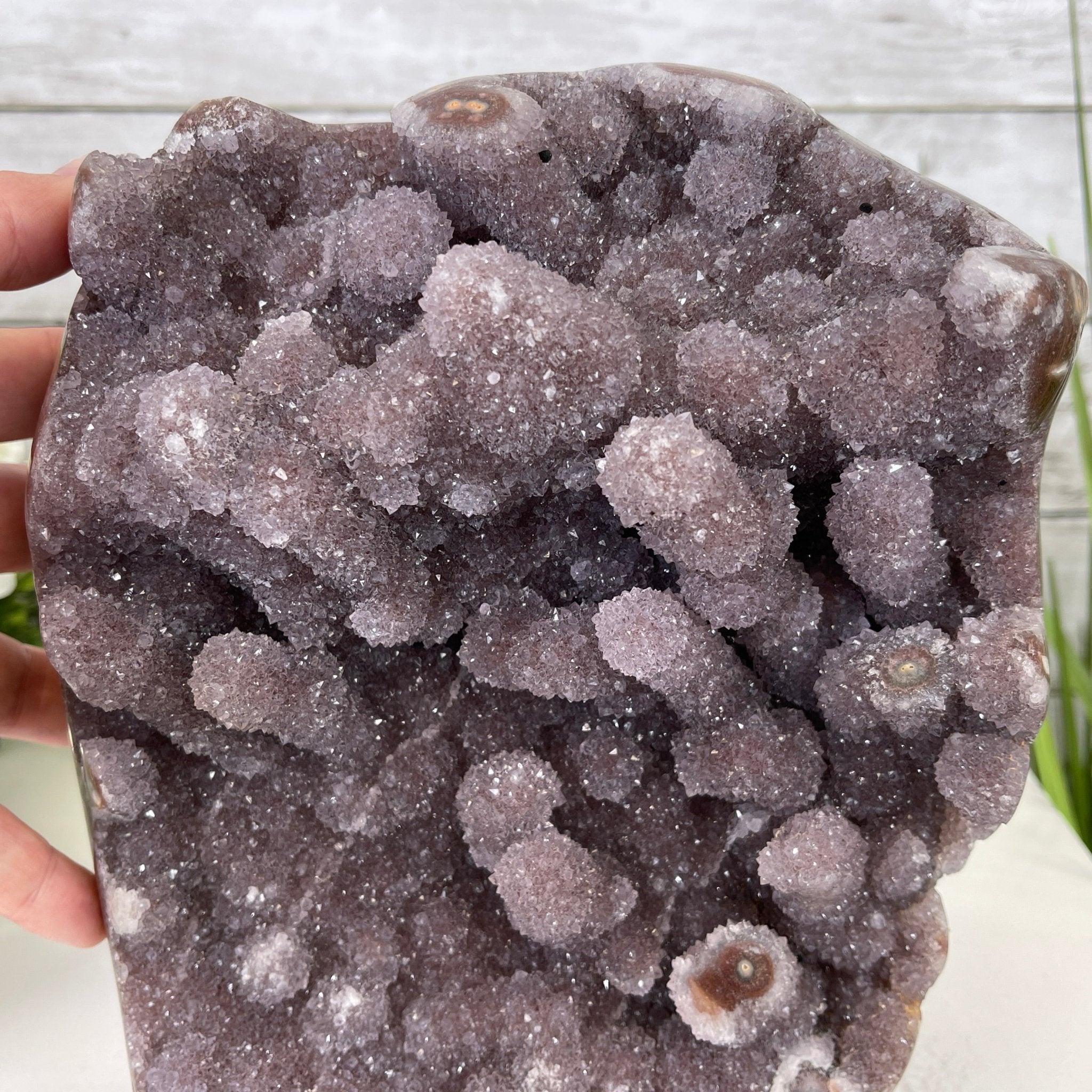 Extra Plus Quality Unique Uruguayan Amethyst Geode, 9” tall & 14.4 lbs #5520-0018 by Brazil Gems - Brazil GemsBrazil GemsExtra Plus Quality Unique Uruguayan Amethyst Geode, 9” tall & 14.4 lbs #5520-0018 by Brazil GemsClusters: Unique & Freeform5520-0018