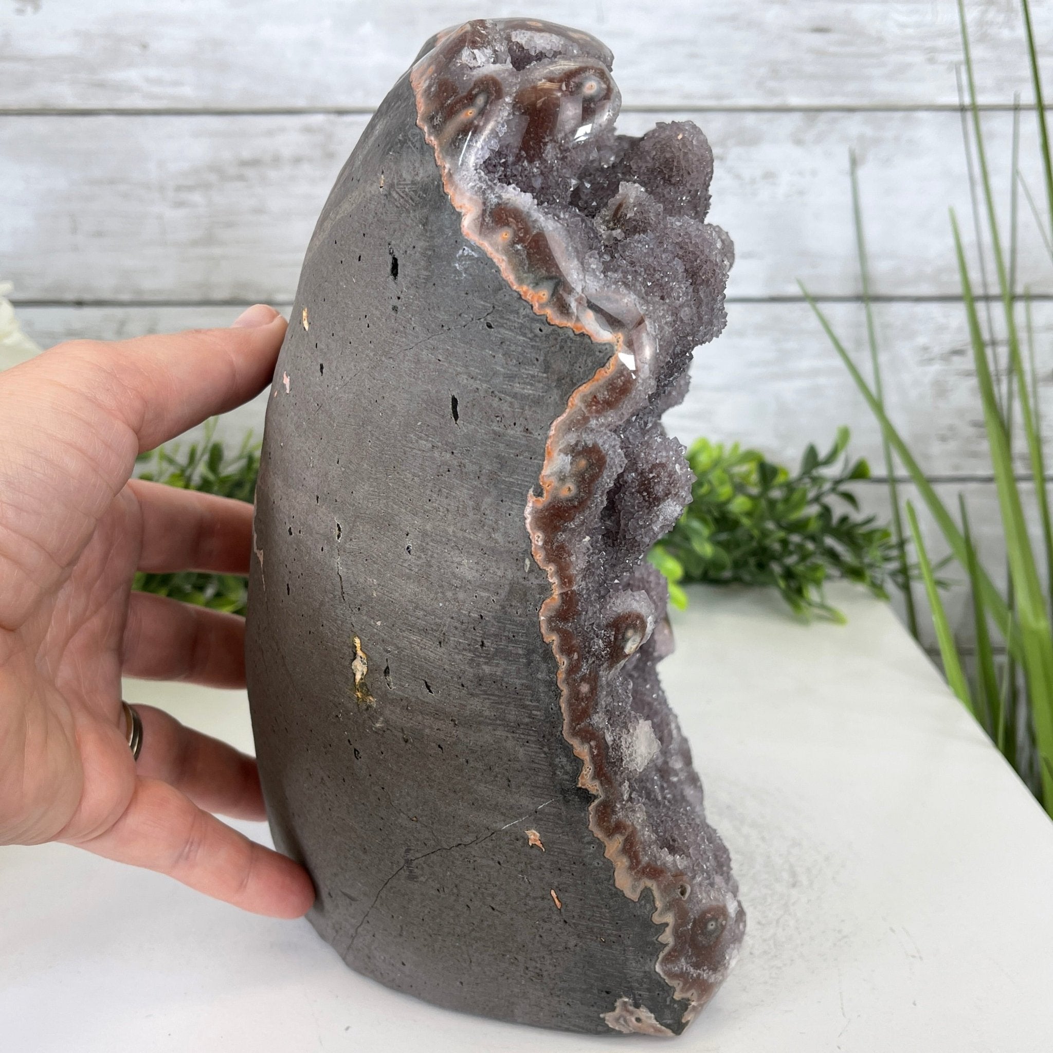 Extra Plus Quality Unique Uruguayan Amethyst Geode, 9” tall & 14.4 lbs #5520-0018 by Brazil Gems - Brazil GemsBrazil GemsExtra Plus Quality Unique Uruguayan Amethyst Geode, 9” tall & 14.4 lbs #5520-0018 by Brazil GemsClusters: Unique & Freeform5520-0018