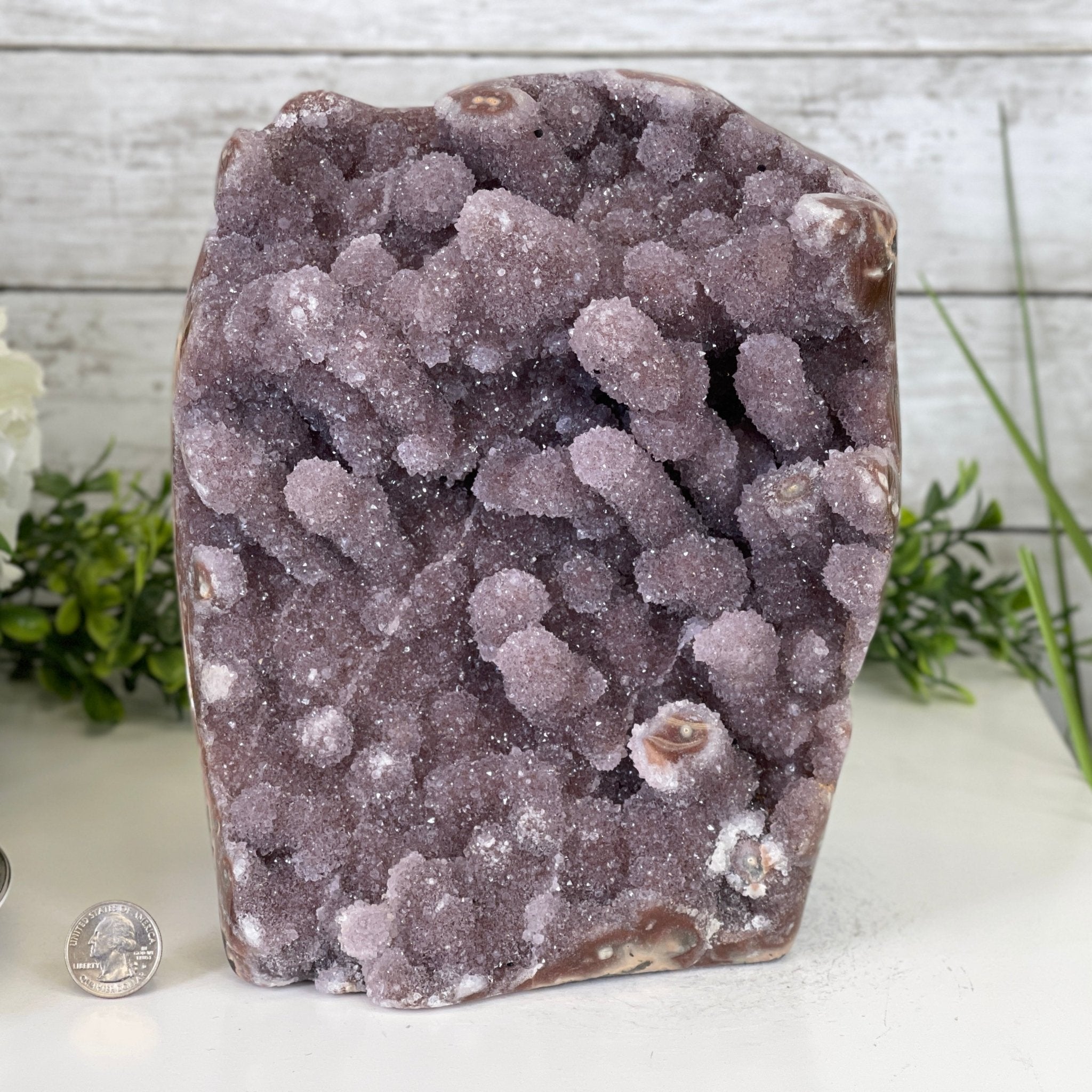 Extra Plus Quality Unique Uruguayan Amethyst Geode, 9” tall & 14.4 lbs #5520-0018 by Brazil Gems - Brazil GemsBrazil GemsExtra Plus Quality Unique Uruguayan Amethyst Geode, 9” tall & 14.4 lbs #5520-0018 by Brazil GemsClusters: Unique & Freeform5520-0018