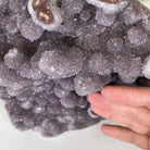 Extra Plus Quality Unique Uruguayan Amethyst Geode, 9” tall & 14.4 lbs #5520-0018 by Brazil Gems - Brazil GemsBrazil GemsExtra Plus Quality Unique Uruguayan Amethyst Geode, 9” tall & 14.4 lbs #5520-0018 by Brazil GemsClusters: Unique & Freeform5520-0018
