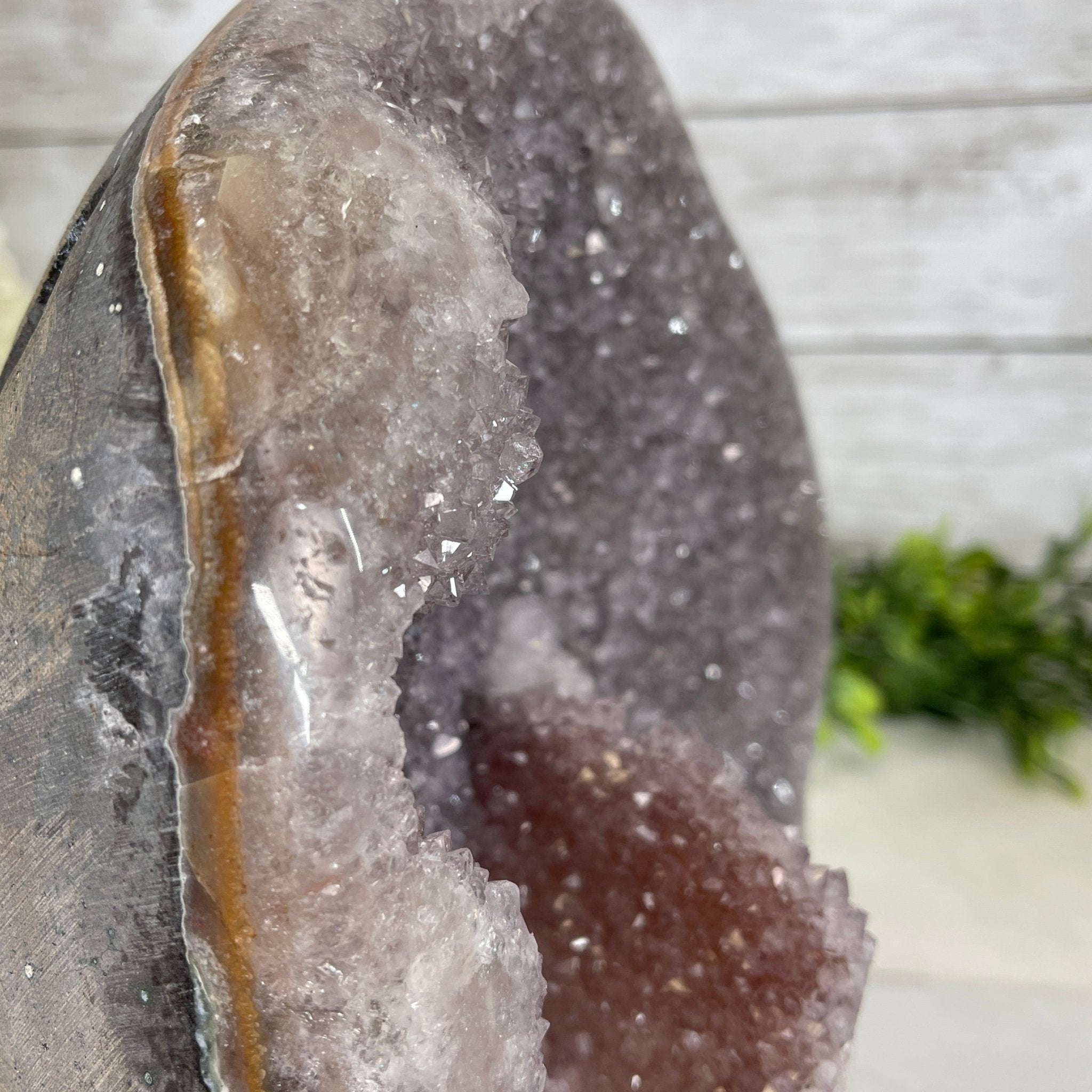 Extra Plus Quality Unique Uruguayan Amethyst Geode, 9.75” tall & 19.4 lbs #5520-0020 by Brazil Gems - Brazil GemsBrazil GemsExtra Plus Quality Unique Uruguayan Amethyst Geode, 9.75” tall & 19.4 lbs #5520-0020 by Brazil GemsClusters: Unique & Freeform5520-0020