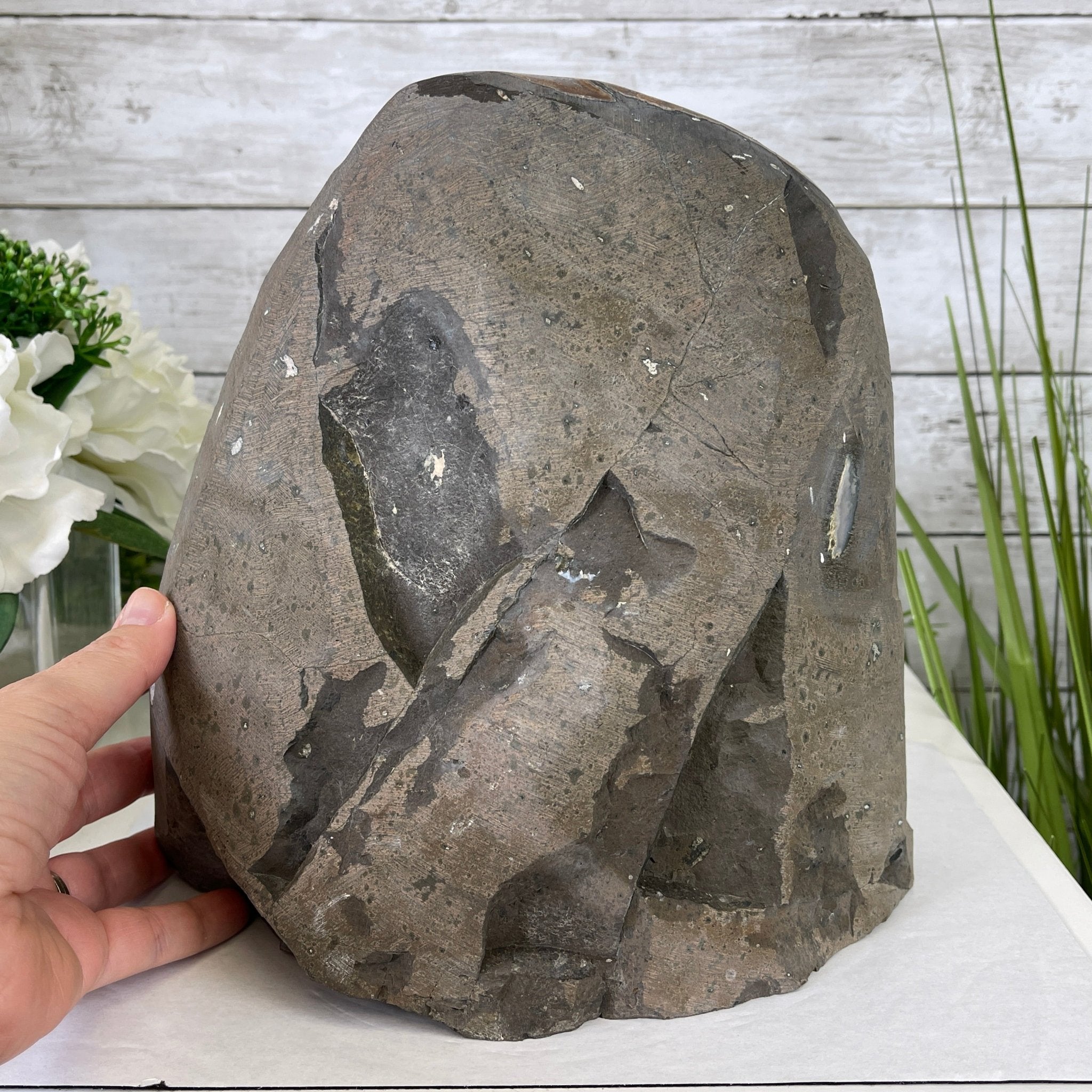 Extra Plus Quality Unique Uruguayan Amethyst Geode, 9.75” tall & 19.4 lbs #5520-0020 by Brazil Gems - Brazil GemsBrazil GemsExtra Plus Quality Unique Uruguayan Amethyst Geode, 9.75” tall & 19.4 lbs #5520-0020 by Brazil GemsClusters: Unique & Freeform5520-0020