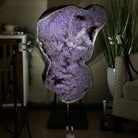 Extra Plus Uruguayan Amethyst Cluster on a Metal Base, 167.6 lbs & 41.1" Tall, #5491 - 0249 - Brazil GemsBrazil GemsExtra Plus Uruguayan Amethyst Cluster on a Metal Base, 167.6 lbs & 41.1" Tall, #5491 - 0249Clusters on Fixed Bases5491 - 0249