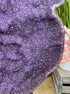 Extra Plus Uruguayan Amethyst Cluster on a Metal Base, 167.6 lbs & 41.1" Tall, #5491 - 0249 - Brazil GemsBrazil GemsExtra Plus Uruguayan Amethyst Cluster on a Metal Base, 167.6 lbs & 41.1" Tall, #5491 - 0249Clusters on Fixed Bases5491 - 0249
