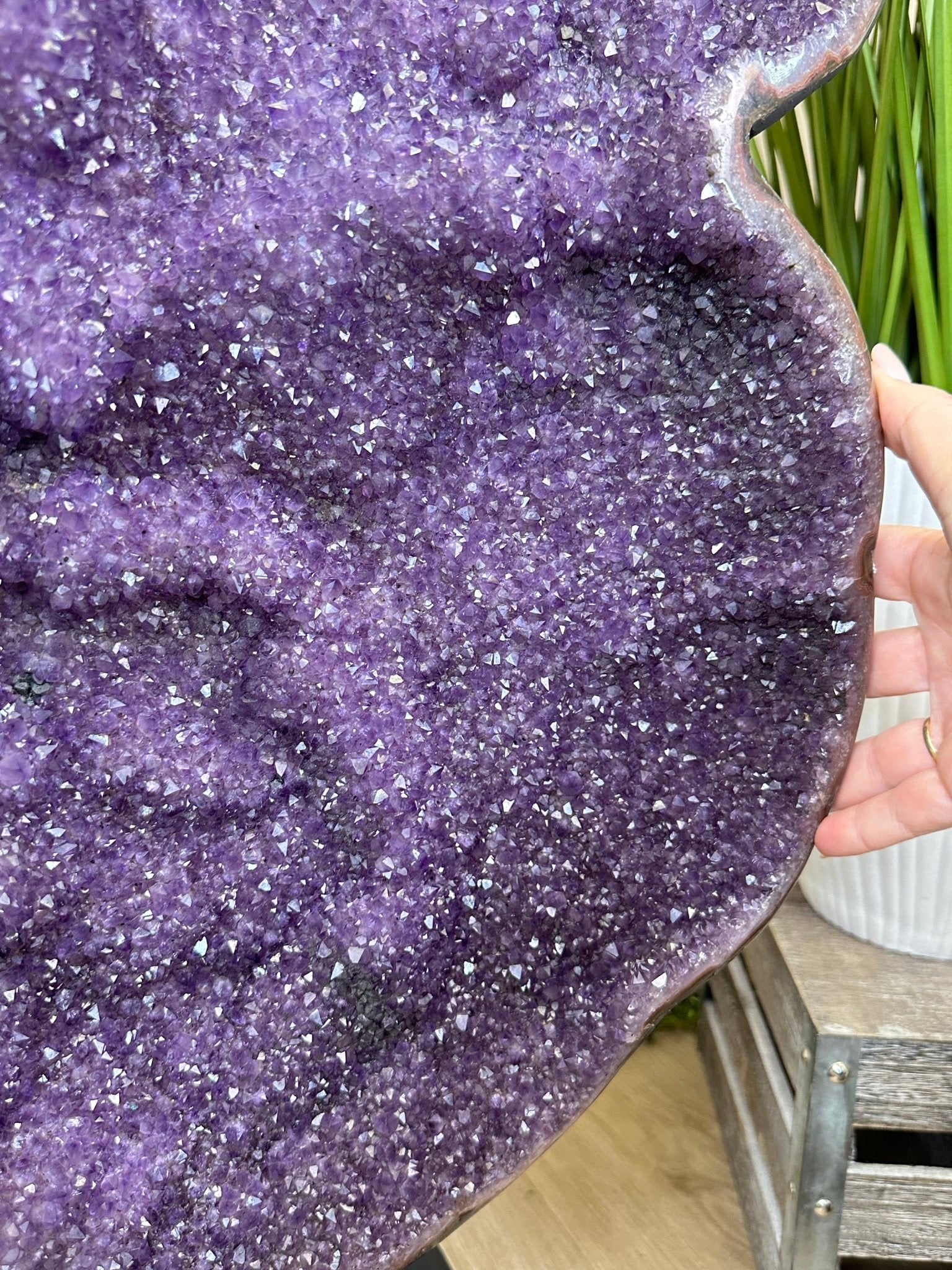 Extra Plus Uruguayan Amethyst Cluster on a Metal Base, 167.6 lbs & 41.1" Tall, #5491 - 0249 - Brazil GemsBrazil GemsExtra Plus Uruguayan Amethyst Cluster on a Metal Base, 167.6 lbs & 41.1" Tall, #5491 - 0249Clusters on Fixed Bases5491 - 0249