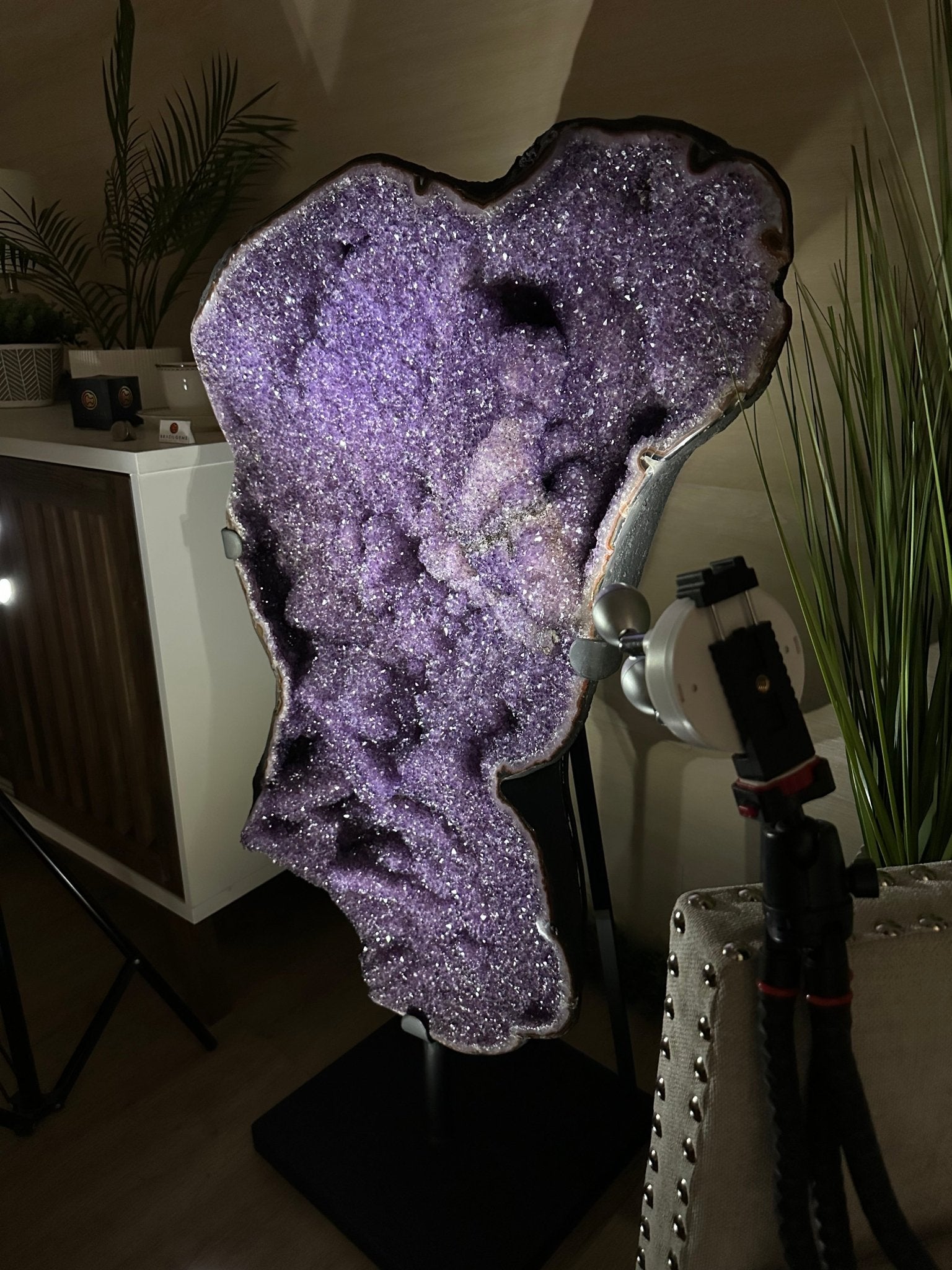 Extra Plus Uruguayan Amethyst Cluster on a Metal Base, 167.6 lbs & 41.1" Tall, #5491 - 0249 - Brazil GemsBrazil GemsExtra Plus Uruguayan Amethyst Cluster on a Metal Base, 167.6 lbs & 41.1" Tall, #5491 - 0249Clusters on Fixed Bases5491 - 0249