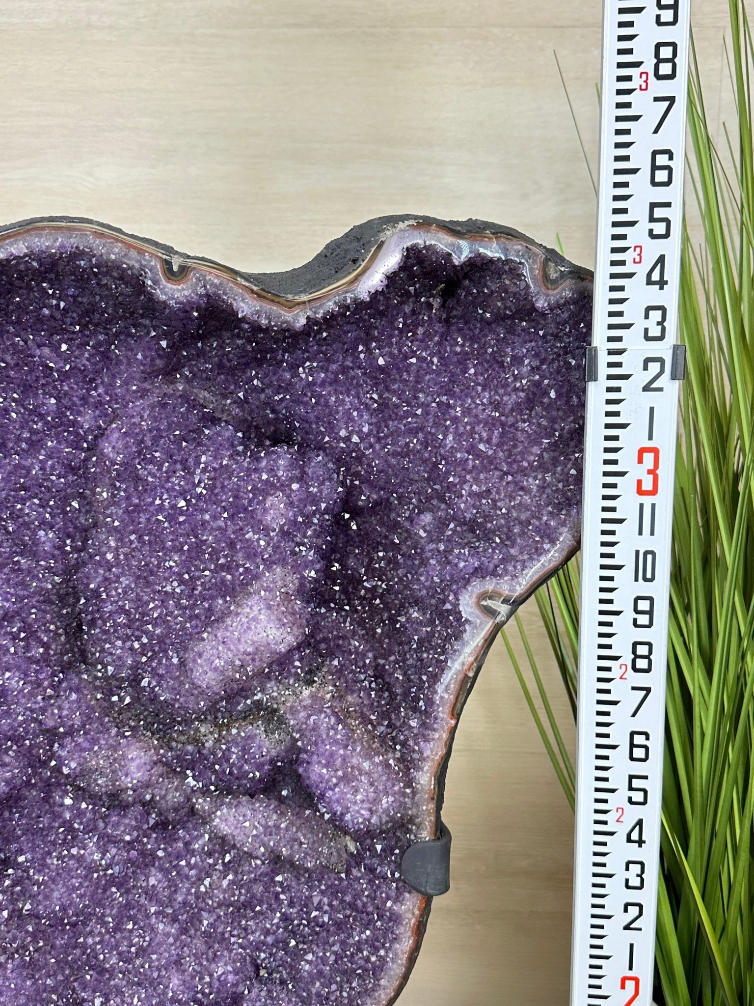 Extra Plus Uruguayan Amethyst Cluster on a Metal Base, 167.6 lbs & 41.1" Tall, #5491 - 0249 - Brazil GemsBrazil GemsExtra Plus Uruguayan Amethyst Cluster on a Metal Base, 167.6 lbs & 41.1" Tall, #5491 - 0249Clusters on Fixed Bases5491 - 0249