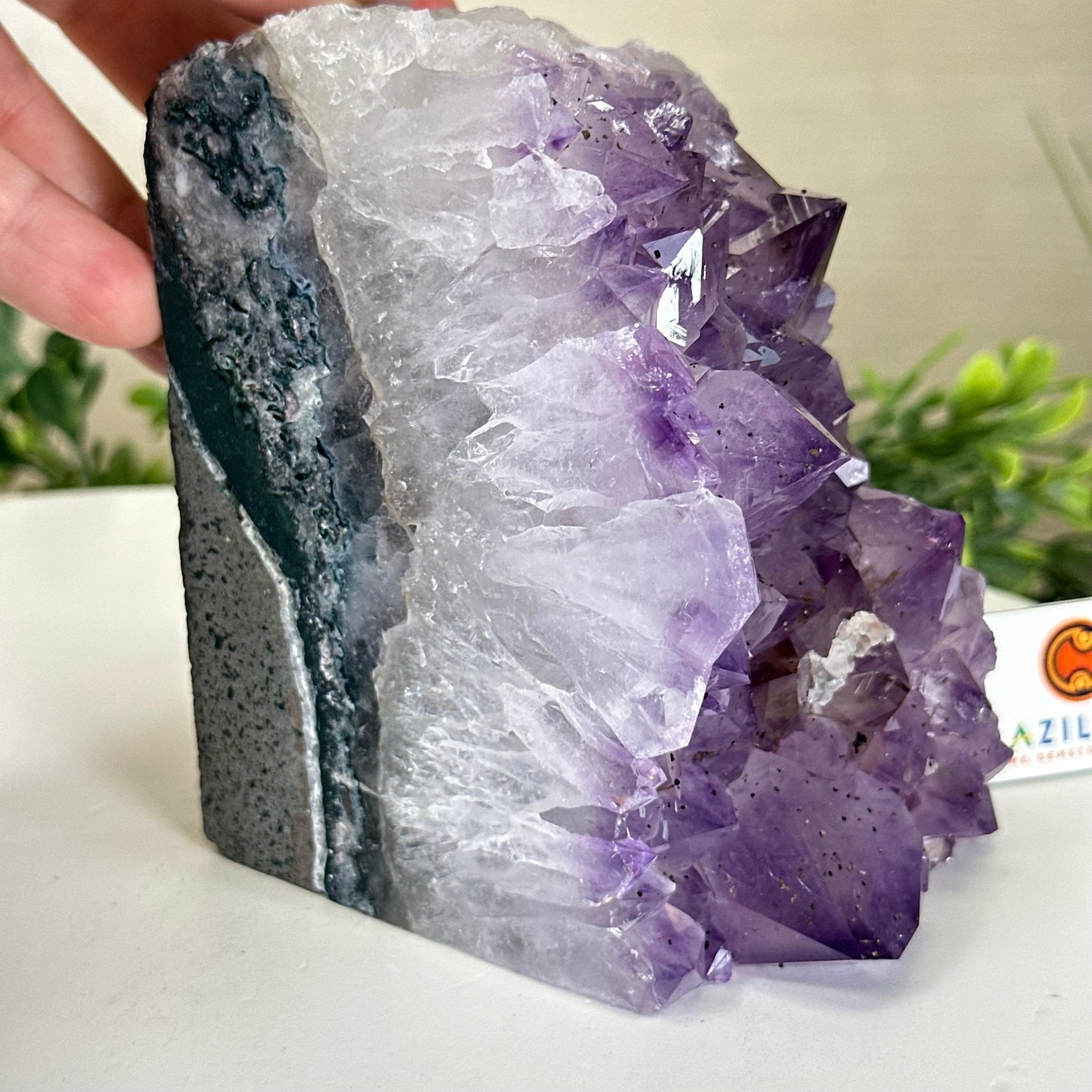 Extra Quality Amethyst Bookends, 6.6 lbs & 4.9" Tall 5151AM - 075 - Brazil GemsBrazil GemsExtra Quality Amethyst Bookends, 6.6 lbs & 4.9" Tall 5151AM - 075Bookends5151AM - 075