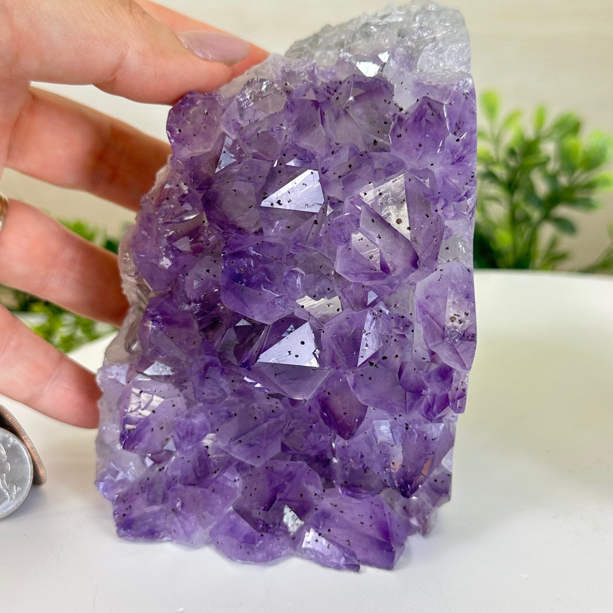Extra Quality Amethyst Bookends, 6.6 lbs & 4.9" Tall 5151AM - 075 - Brazil GemsBrazil GemsExtra Quality Amethyst Bookends, 6.6 lbs & 4.9" Tall 5151AM - 075Bookends5151AM - 075