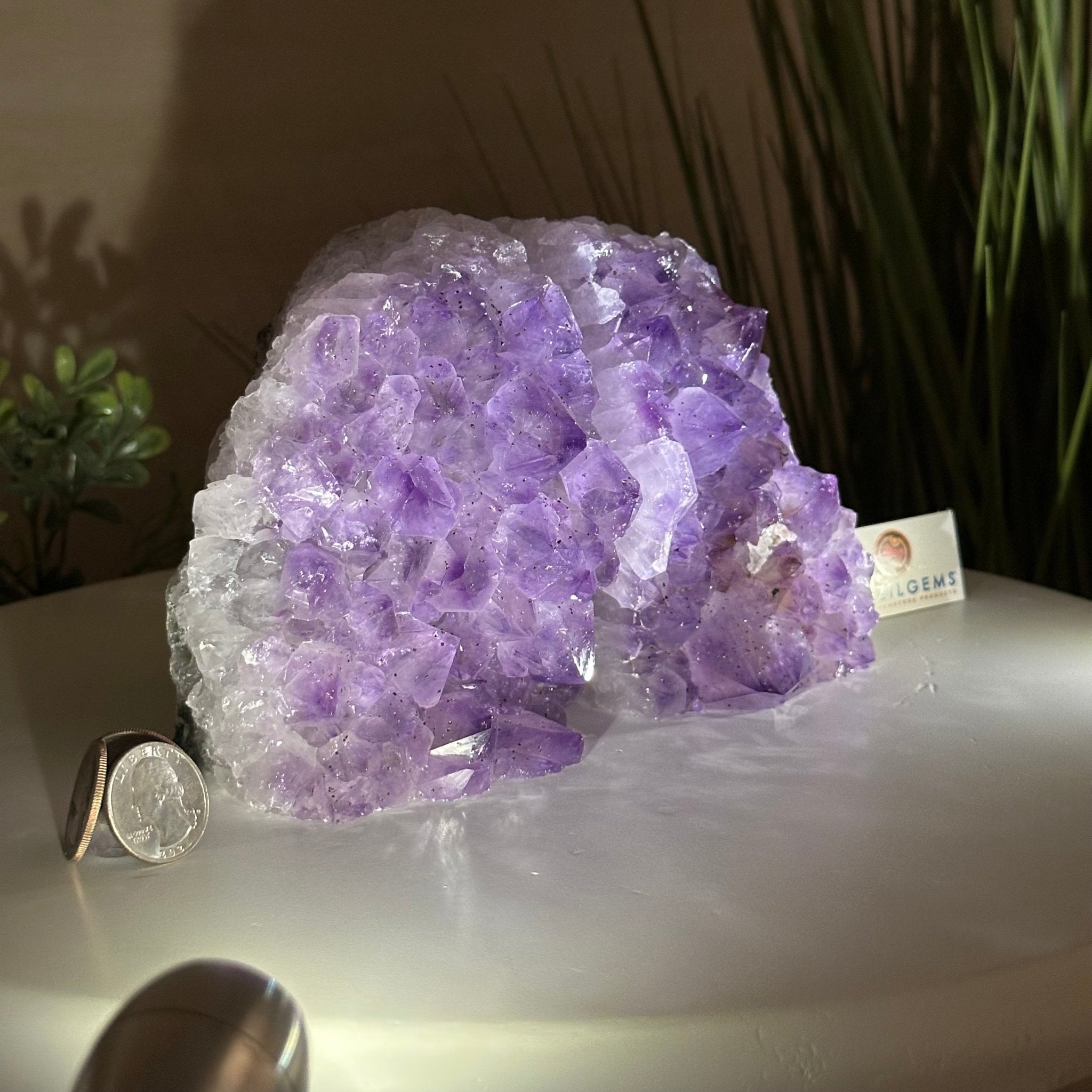 Extra Quality Amethyst Bookends, 6.6 lbs & 4.9" Tall 5151AM - 075 - Brazil GemsBrazil GemsExtra Quality Amethyst Bookends, 6.6 lbs & 4.9" Tall 5151AM - 075Bookends5151AM - 075