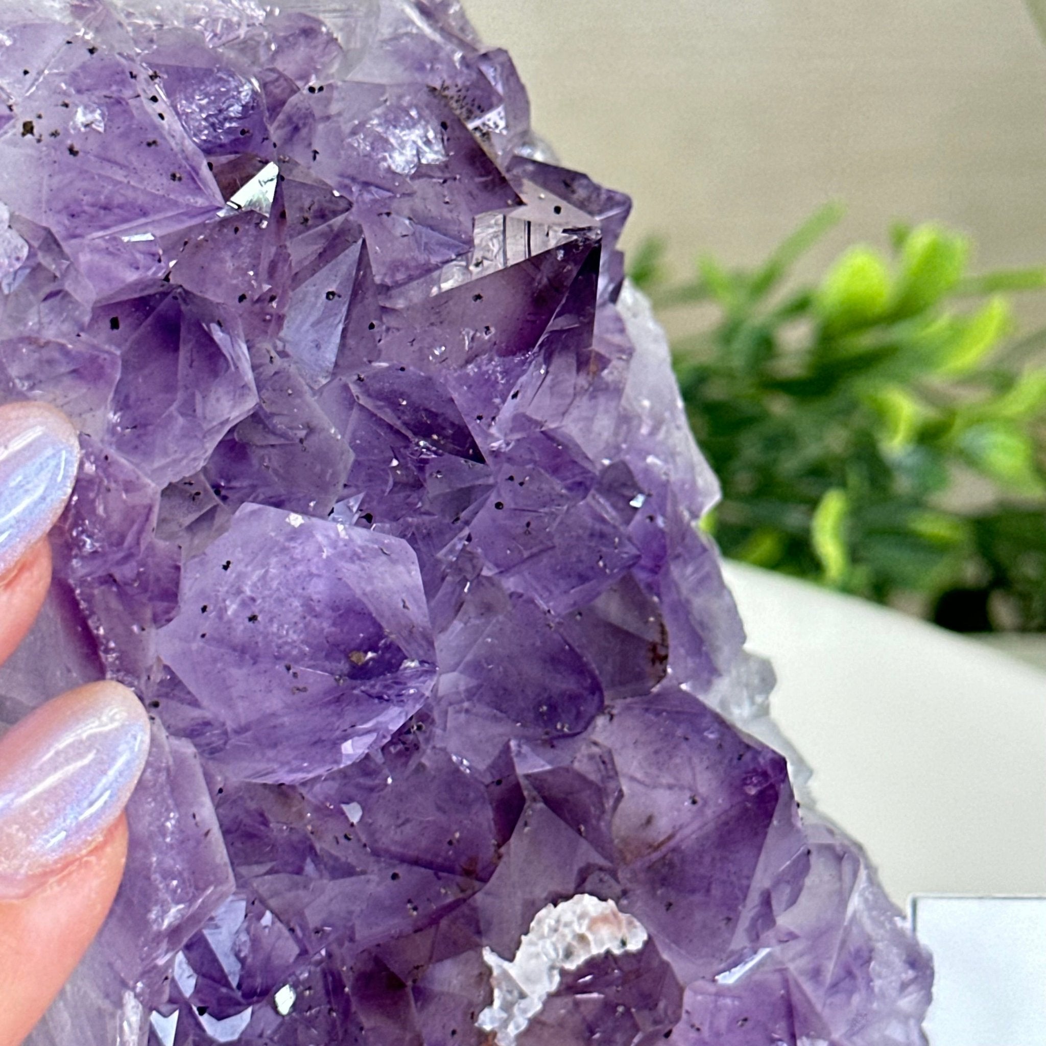 Extra Quality Amethyst Bookends, 6.6 lbs & 4.9" Tall 5151AM - 075 - Brazil GemsBrazil GemsExtra Quality Amethyst Bookends, 6.6 lbs & 4.9" Tall 5151AM - 075Bookends5151AM - 075