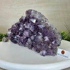 Extra Quality Amethyst Bookends, 9.8 lbs & 6" Tall 5151AM - 078 - Brazil GemsBrazil GemsExtra Quality Amethyst Bookends, 9.8 lbs & 6" Tall 5151AM - 078Bookends5151AM - 078