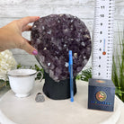 Extra Quality Amethyst Cluster, Cement Base, 10.4" Tall #5614-0112 - Brazil GemsBrazil GemsExtra Quality Amethyst Cluster, Cement Base, 10.4" Tall #5614-0112Clusters on Cement Bases5614-0112