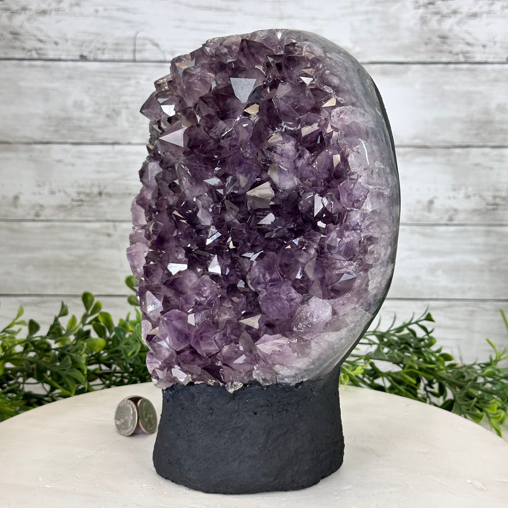 Extra Quality Amethyst Cluster, Cement Base, 10.4" Tall #5614-0112 - Brazil GemsBrazil GemsExtra Quality Amethyst Cluster, Cement Base, 10.4" Tall #5614-0112Clusters on Cement Bases5614-0112