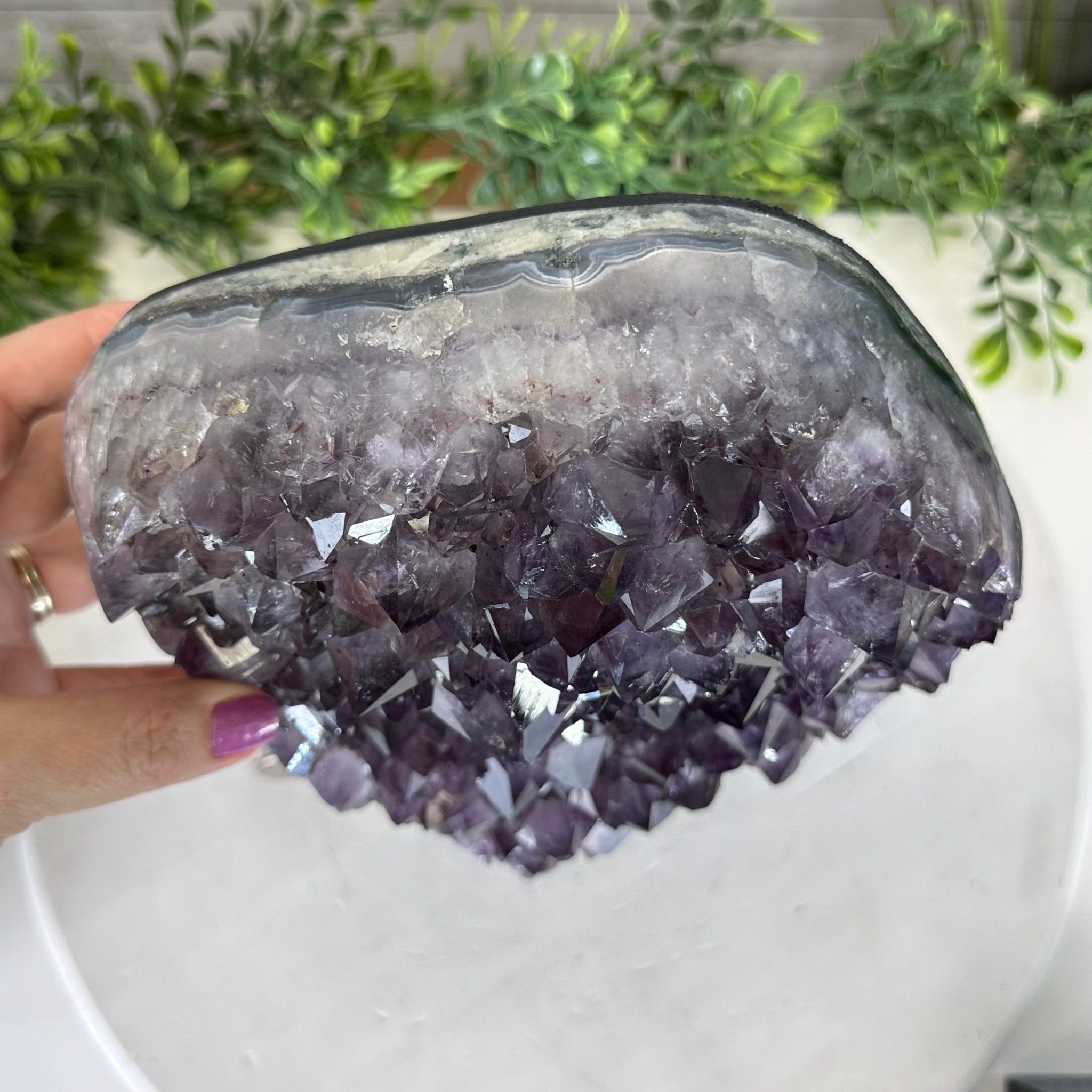 Extra Quality Amethyst Cluster, Cement Base, 10.4" Tall #5614-0112 - Brazil GemsBrazil GemsExtra Quality Amethyst Cluster, Cement Base, 10.4" Tall #5614-0112Clusters on Cement Bases5614-0112