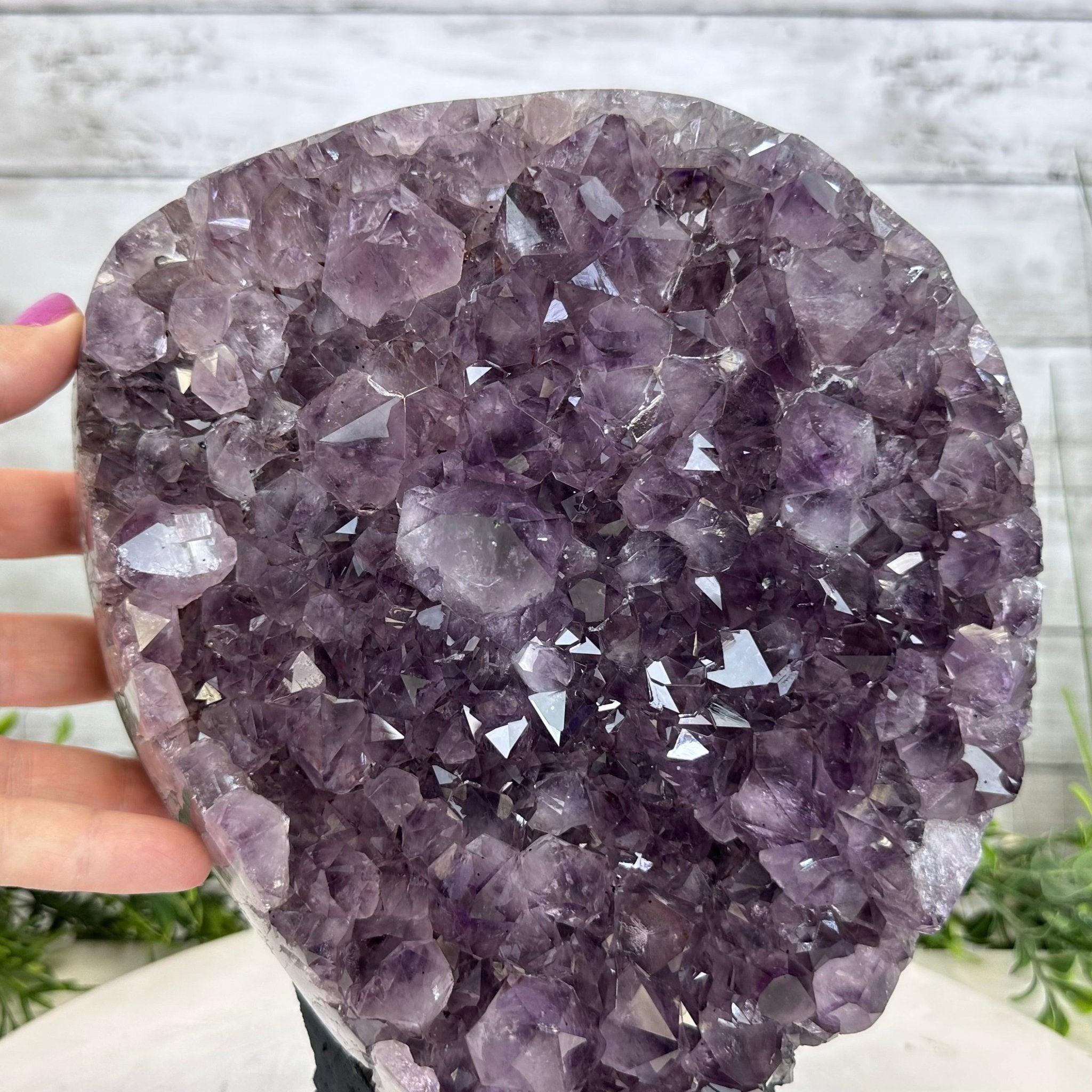 Extra Quality Amethyst Cluster, Cement Base, 10.4" Tall #5614-0112 - Brazil GemsBrazil GemsExtra Quality Amethyst Cluster, Cement Base, 10.4" Tall #5614-0112Clusters on Cement Bases5614-0112