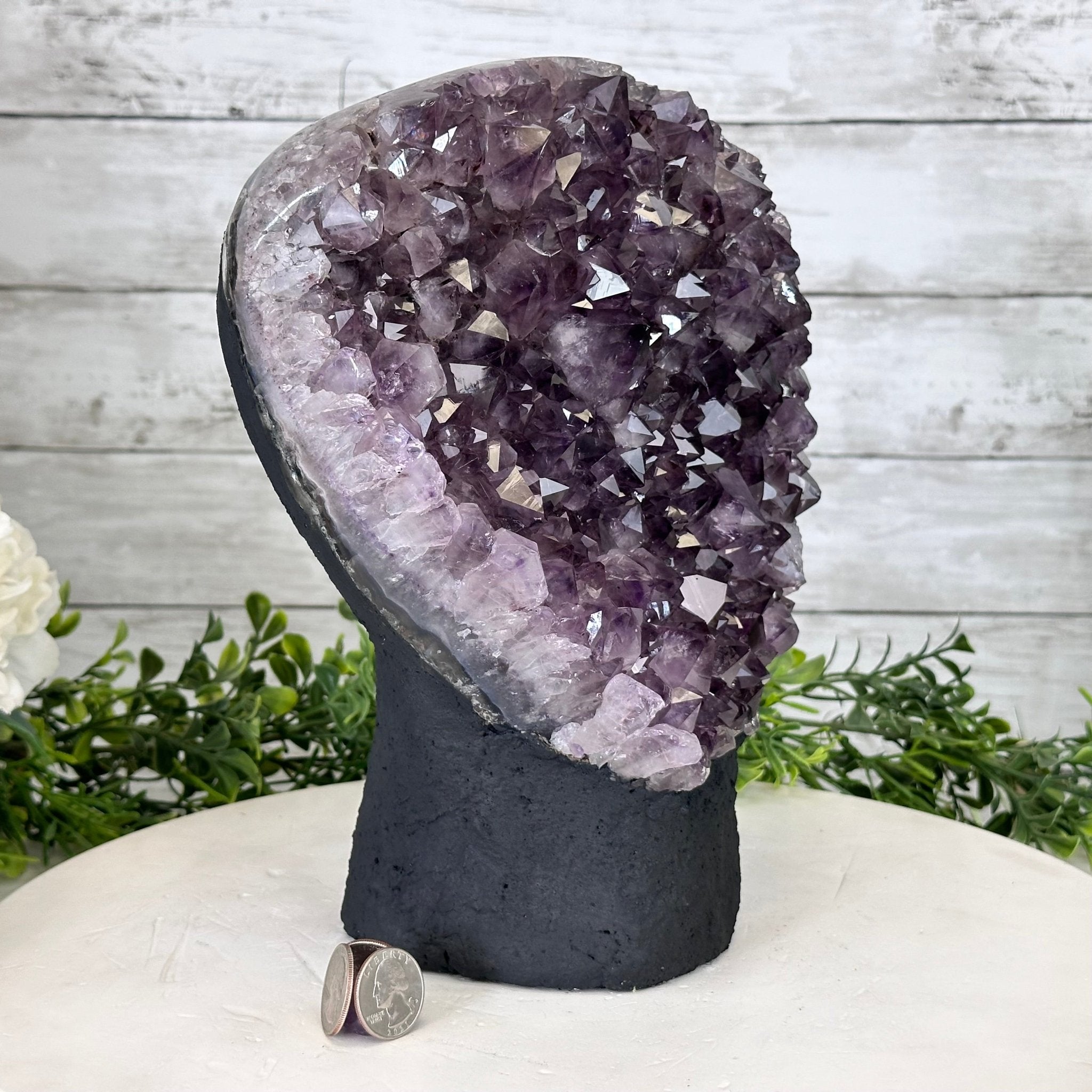 Extra Quality Amethyst Cluster, Cement Base, 10.4" Tall #5614-0112 - Brazil GemsBrazil GemsExtra Quality Amethyst Cluster, Cement Base, 10.4" Tall #5614-0112Clusters on Cement Bases5614-0112
