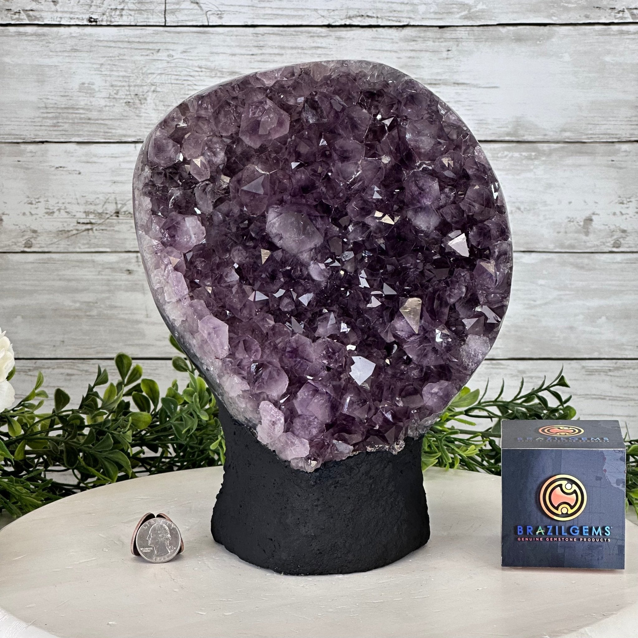Extra Quality Amethyst Cluster, Cement Base, 10.4" Tall #5614-0112 - Brazil GemsBrazil GemsExtra Quality Amethyst Cluster, Cement Base, 10.4" Tall #5614-0112Clusters on Cement Bases5614-0112