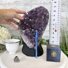 Extra Quality Amethyst Cluster, Cement Base, 11" Tall #5614-0115 - Brazil GemsBrazil GemsExtra Quality Amethyst Cluster, Cement Base, 11" Tall #5614-0115Clusters on Cement Bases5614-0115