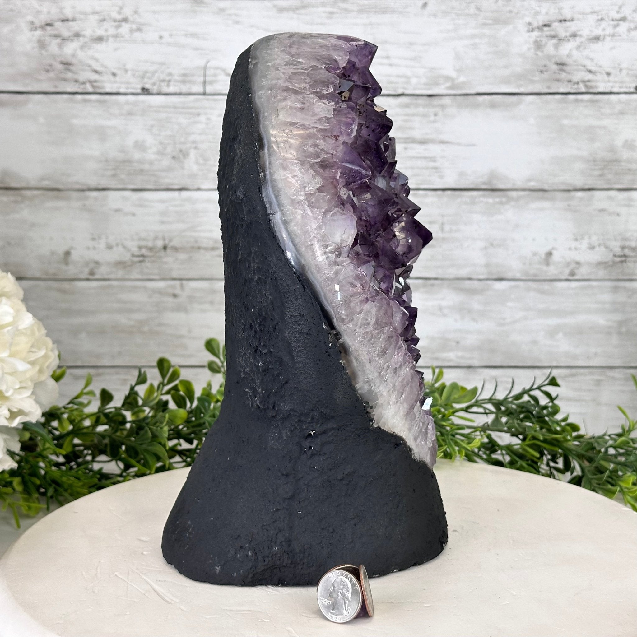 Extra Quality Amethyst Cluster, Cement Base, 11" Tall #5614-0115 - Brazil GemsBrazil GemsExtra Quality Amethyst Cluster, Cement Base, 11" Tall #5614-0115Clusters on Cement Bases5614-0115