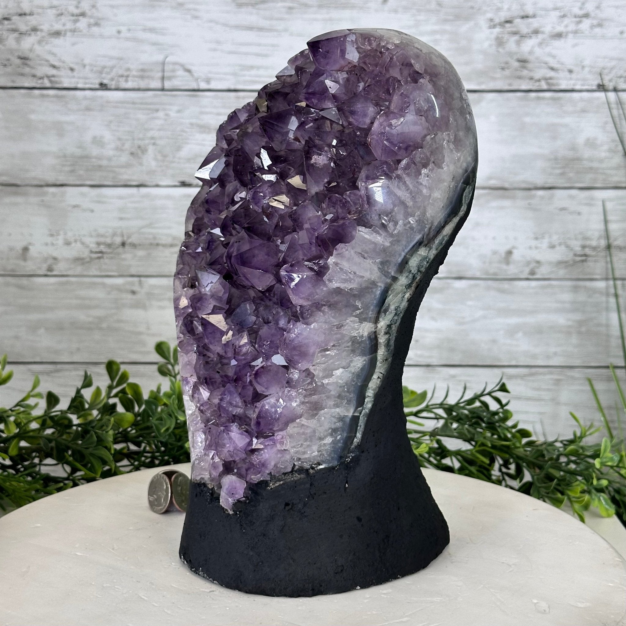 Extra Quality Amethyst Cluster, Cement Base, 11" Tall #5614-0115 - Brazil GemsBrazil GemsExtra Quality Amethyst Cluster, Cement Base, 11" Tall #5614-0115Clusters on Cement Bases5614-0115