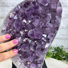 Extra Quality Amethyst Cluster, Cement Base, 11" Tall #5614-0115 - Brazil GemsBrazil GemsExtra Quality Amethyst Cluster, Cement Base, 11" Tall #5614-0115Clusters on Cement Bases5614-0115