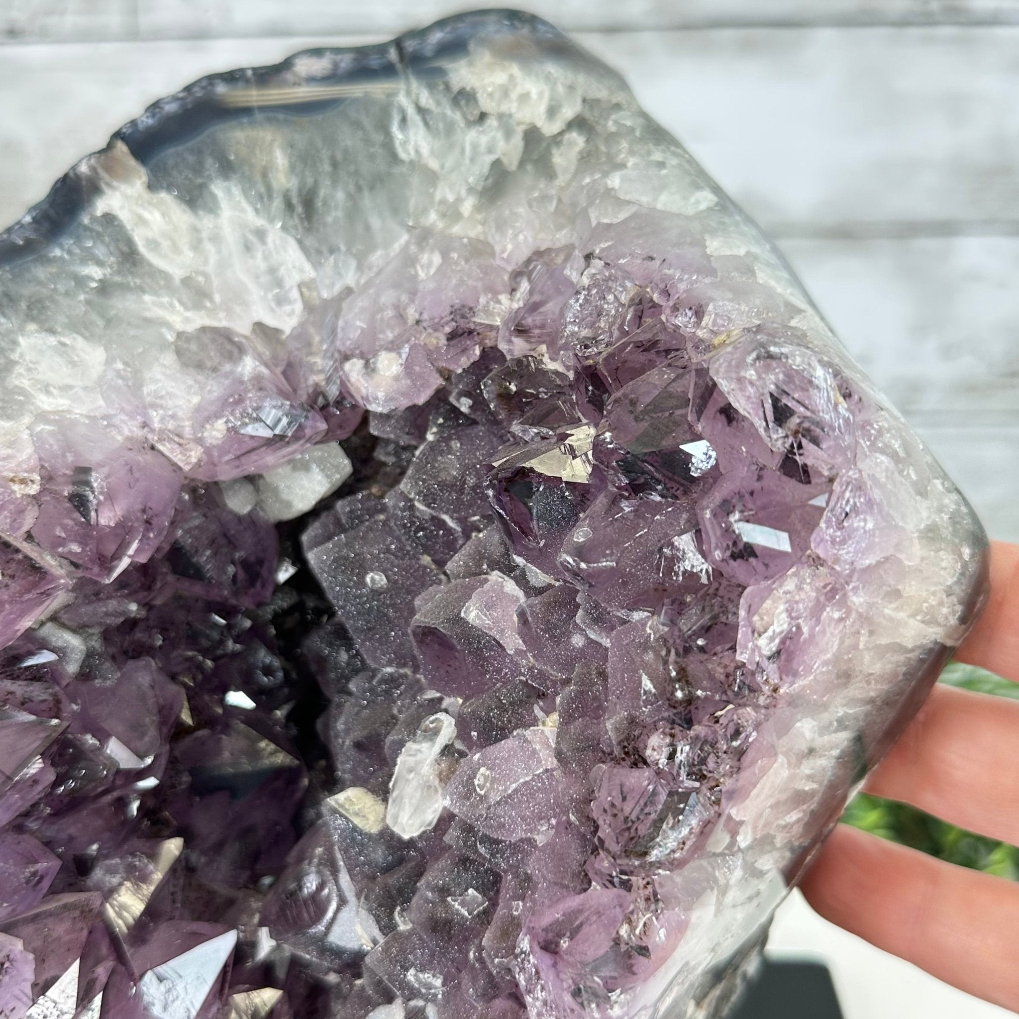 Extra Quality Amethyst Cluster on a Metal Base, 14.7 lbs & 9" Tall, Model #5491-0089 by Brazil Gems - Brazil GemsBrazil GemsExtra Quality Amethyst Cluster on a Metal Base, 14.7 lbs & 9" Tall, Model #5491-0089 by Brazil GemsClusters on Fixed Bases5491-0089