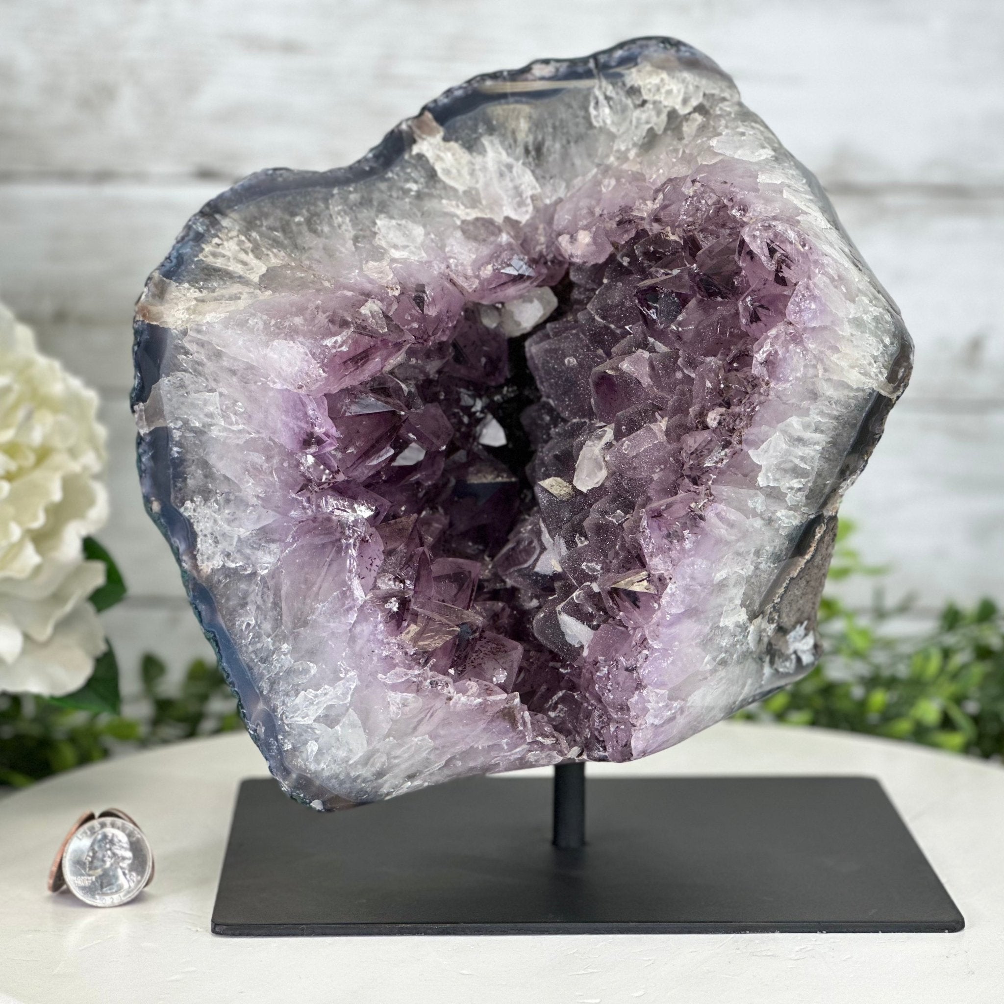 Extra Quality Amethyst Cluster on a Metal Base, 14.7 lbs & 9" Tall, Model #5491-0089 by Brazil Gems - Brazil GemsBrazil GemsExtra Quality Amethyst Cluster on a Metal Base, 14.7 lbs & 9" Tall, Model #5491-0089 by Brazil GemsClusters on Fixed Bases5491-0089