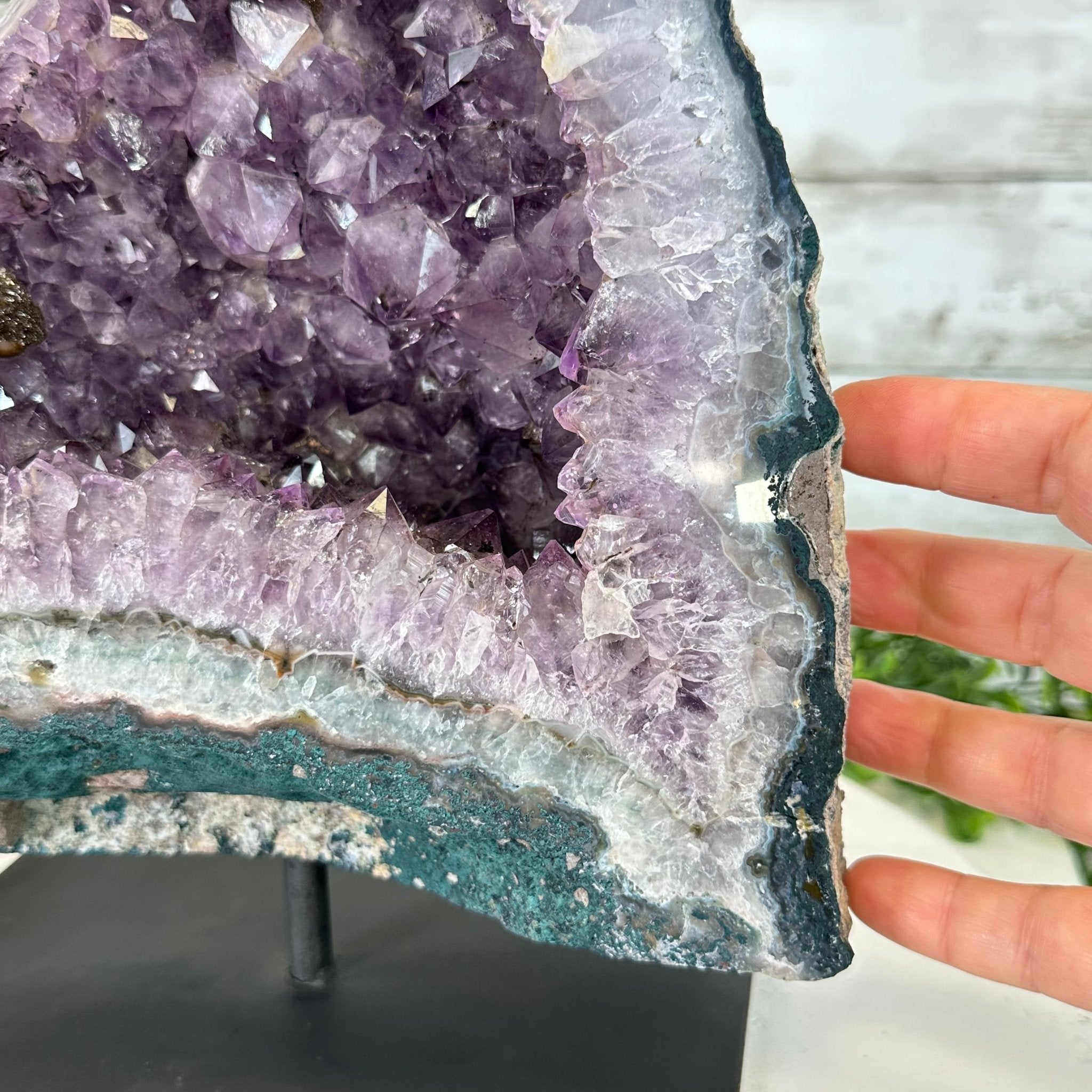 Extra Quality Amethyst Cluster on a Metal Base, 16 lbs & 10.25" Tall, Model #5491-0092 by Brazil Gems - Brazil GemsBrazil GemsExtra Quality Amethyst Cluster on a Metal Base, 16 lbs & 10.25" Tall, Model #5491-0092 by Brazil GemsClusters on Fixed Bases5491-0092