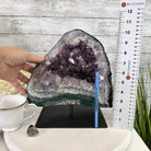 Extra Quality Amethyst Cluster on a Metal Base, 16 lbs & 10.25" Tall, Model #5491-0092 by Brazil Gems - Brazil GemsBrazil GemsExtra Quality Amethyst Cluster on a Metal Base, 16 lbs & 10.25" Tall, Model #5491-0092 by Brazil GemsClusters on Fixed Bases5491-0092