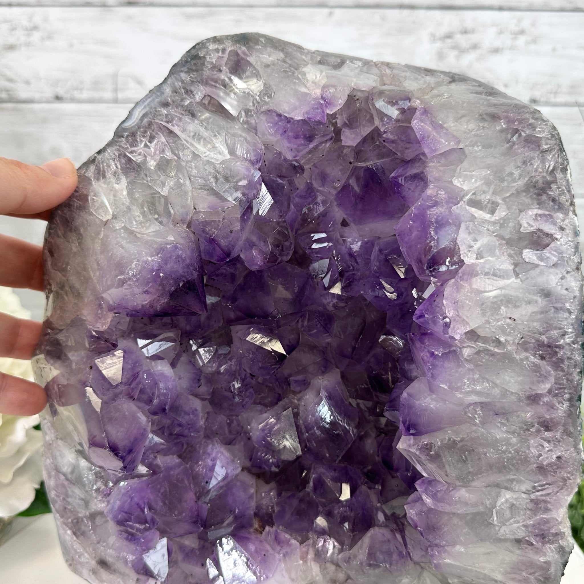 Extra Quality Amethyst Cluster on a Metal Base, 19.1 lbs & 11" Tall, Model #5491-0095 by Brazil Gems - Brazil GemsBrazil GemsExtra Quality Amethyst Cluster on a Metal Base, 19.1 lbs & 11" Tall, Model #5491-0095 by Brazil GemsClusters on Fixed Bases5491-0095