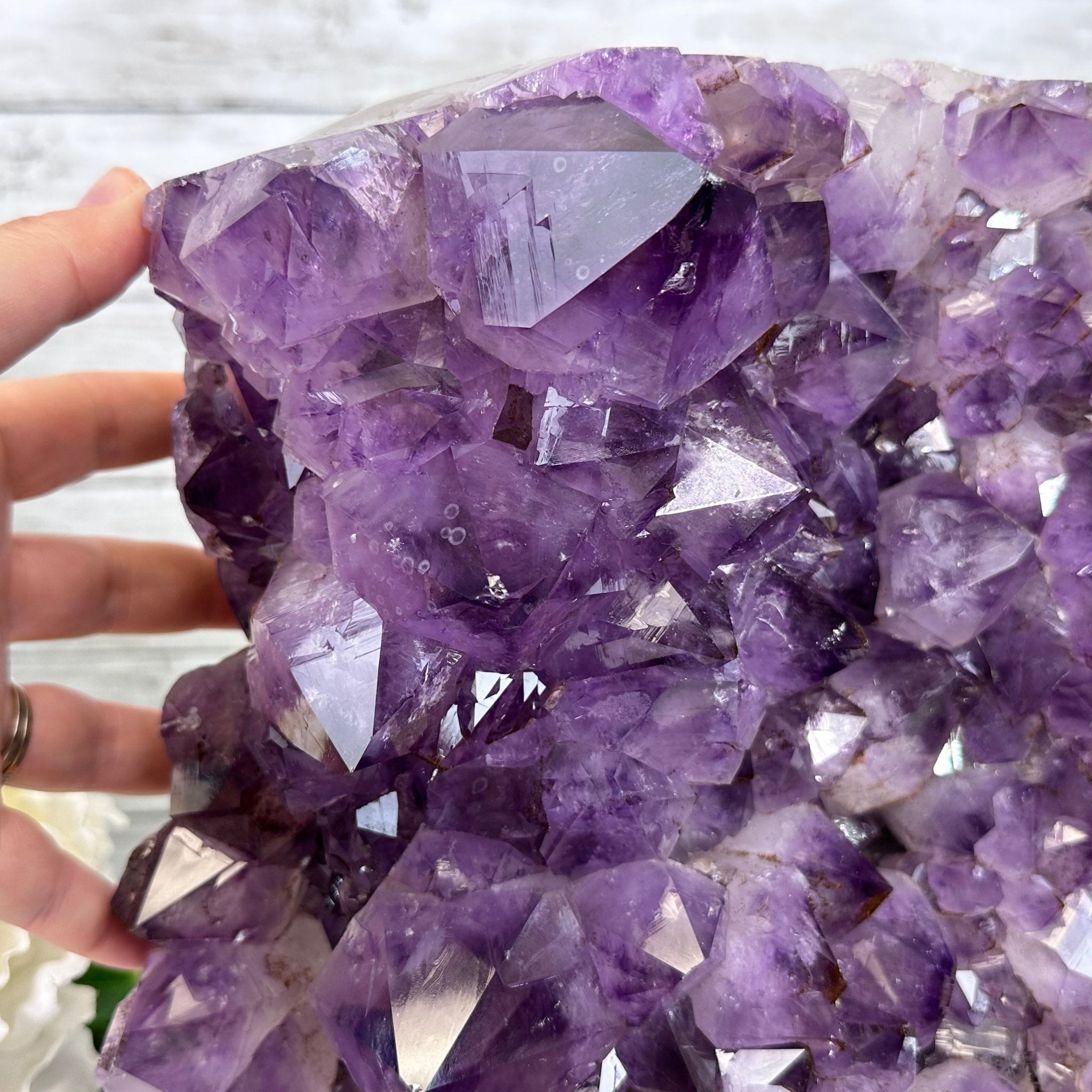 Extra Quality Amethyst Cluster on a Metal Base, 26.5 lbs & 12.2" Tall, Model #5491-0097 by Brazil Gems - Brazil GemsBrazil GemsExtra Quality Amethyst Cluster on a Metal Base, 26.5 lbs & 12.2" Tall, Model #5491-0097 by Brazil GemsClusters on Fixed Bases5491-0097