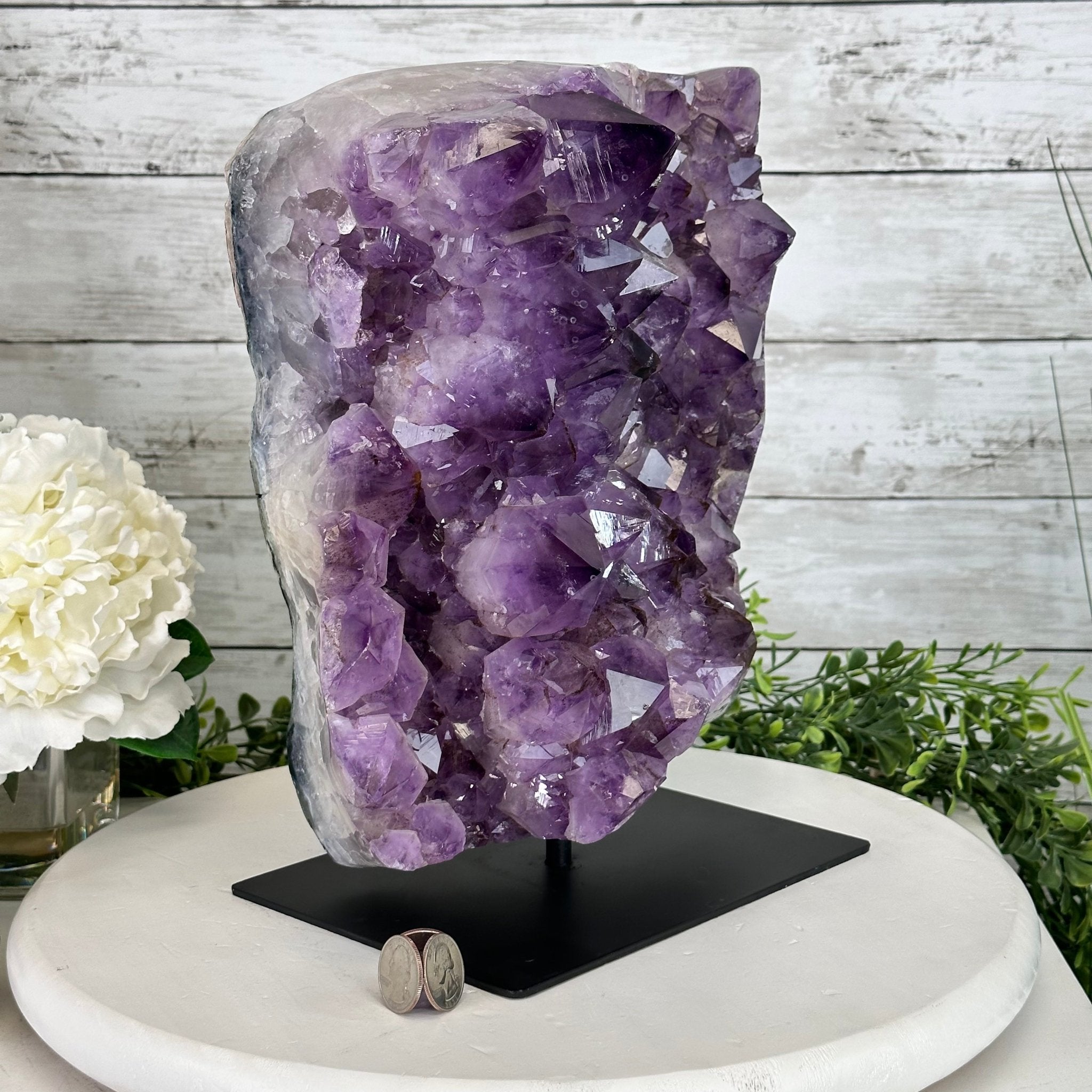 Extra Quality Amethyst Cluster on a Metal Base, 26.5 lbs & 12.2" Tall, Model #5491-0097 by Brazil Gems - Brazil GemsBrazil GemsExtra Quality Amethyst Cluster on a Metal Base, 26.5 lbs & 12.2" Tall, Model #5491-0097 by Brazil GemsClusters on Fixed Bases5491-0097