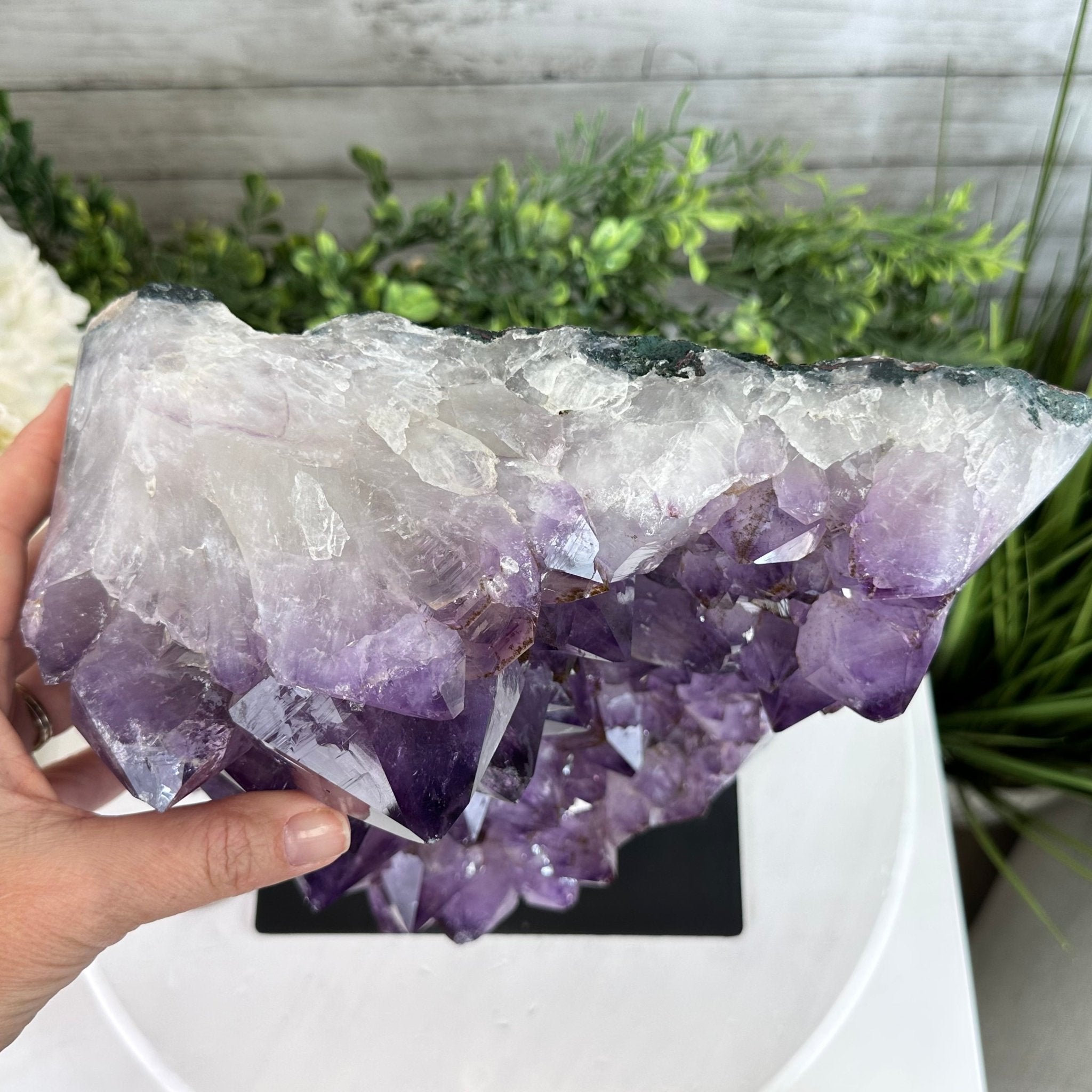 Extra Quality Amethyst Cluster on a Metal Base, 26.5 lbs & 12.2" Tall, Model #5491-0097 by Brazil Gems - Brazil GemsBrazil GemsExtra Quality Amethyst Cluster on a Metal Base, 26.5 lbs & 12.2" Tall, Model #5491-0097 by Brazil GemsClusters on Fixed Bases5491-0097