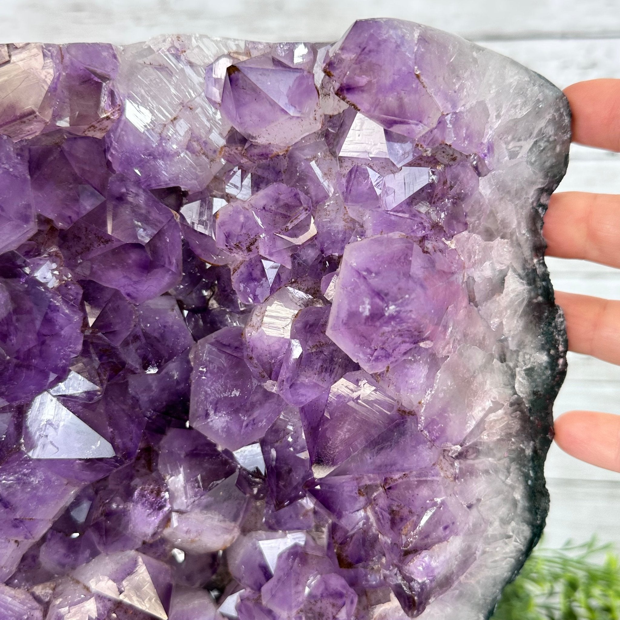 Extra Quality Amethyst Cluster on a Metal Base, 26.5 lbs & 12.2" Tall, Model #5491-0097 by Brazil Gems - Brazil GemsBrazil GemsExtra Quality Amethyst Cluster on a Metal Base, 26.5 lbs & 12.2" Tall, Model #5491-0097 by Brazil GemsClusters on Fixed Bases5491-0097