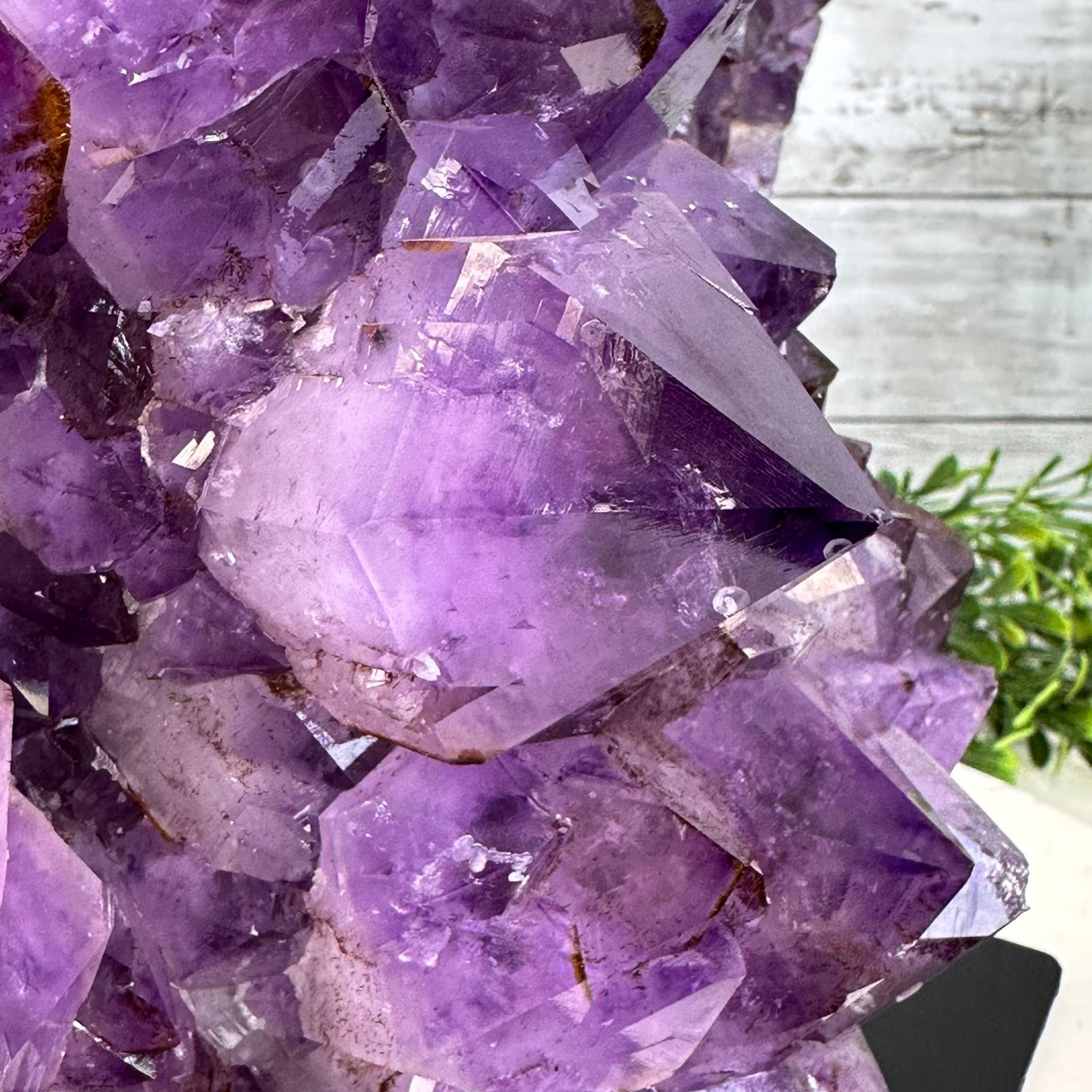 Extra Quality Amethyst Cluster on a Metal Base, 26.5 lbs & 12.2" Tall, Model #5491-0097 by Brazil Gems - Brazil GemsBrazil GemsExtra Quality Amethyst Cluster on a Metal Base, 26.5 lbs & 12.2" Tall, Model #5491-0097 by Brazil GemsClusters on Fixed Bases5491-0097